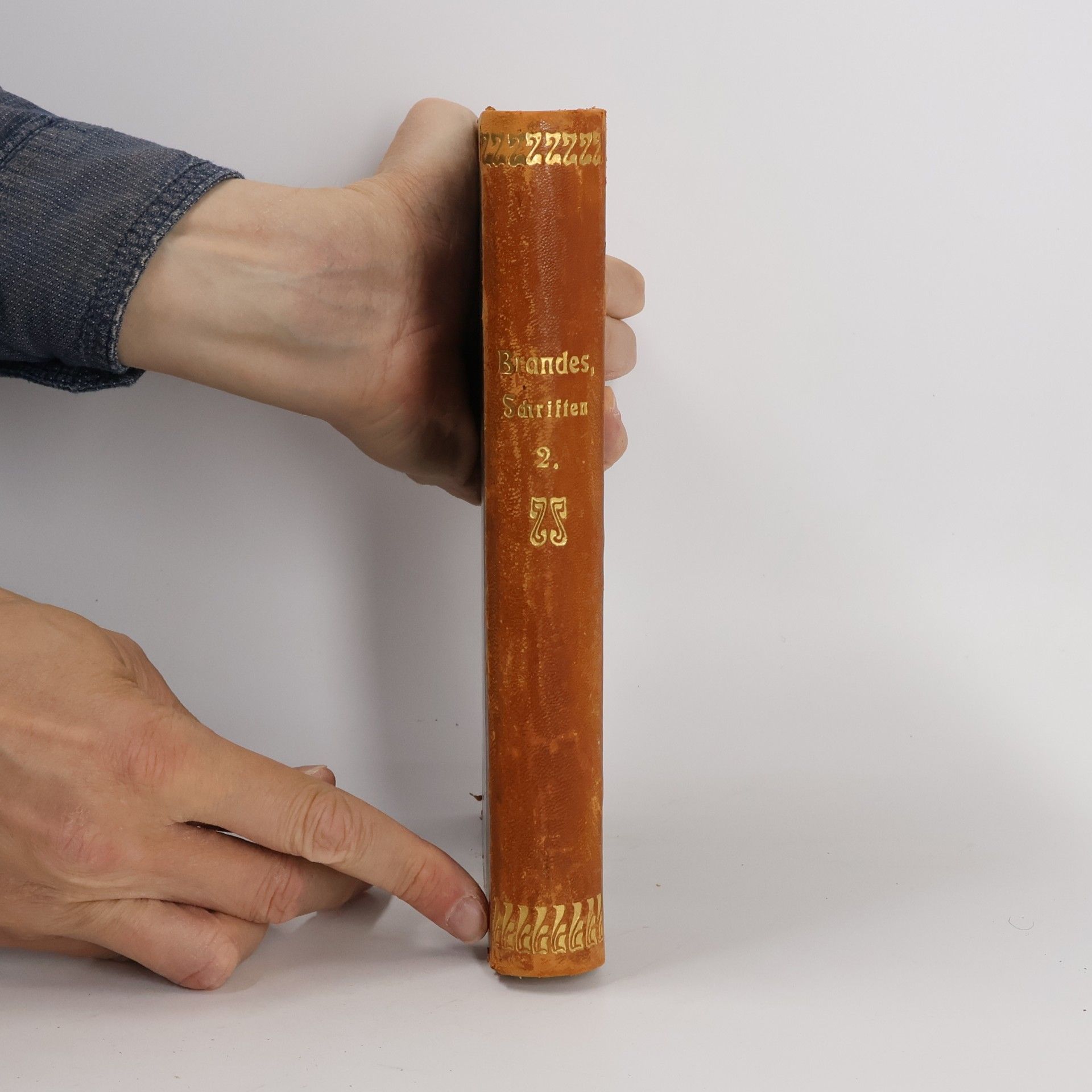 Georg Brandes Gesammelte Schriften. Skandinavische Persönlichkeiten