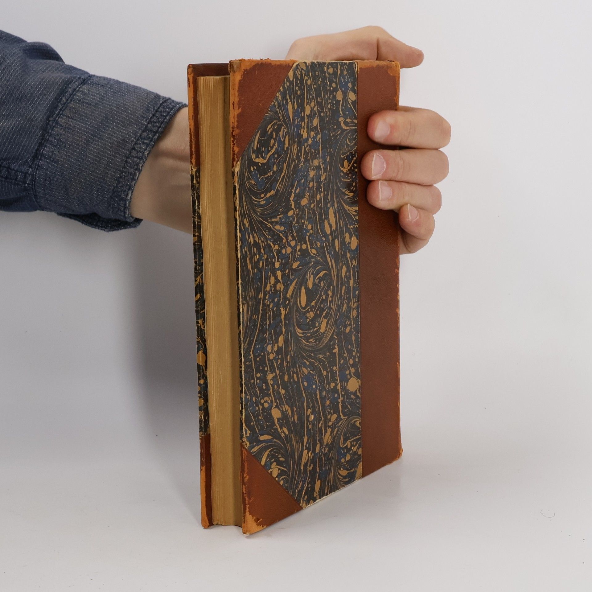 Georg Brandes Gesammelte Schriften. Skandinavische Persönlichkeiten