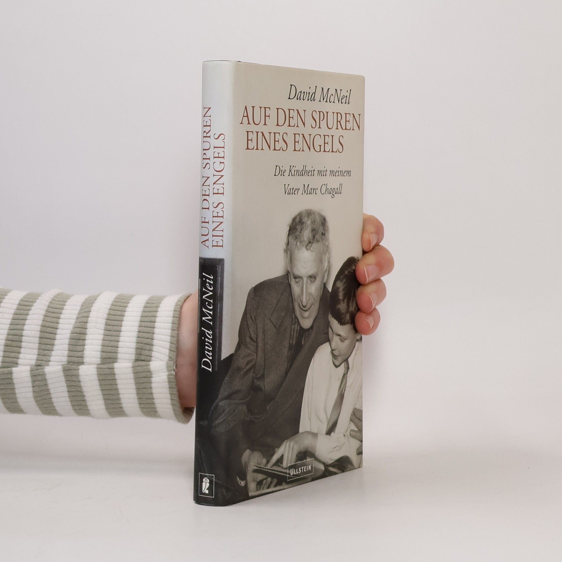 David McNeil Auf den Spuren eines Engels