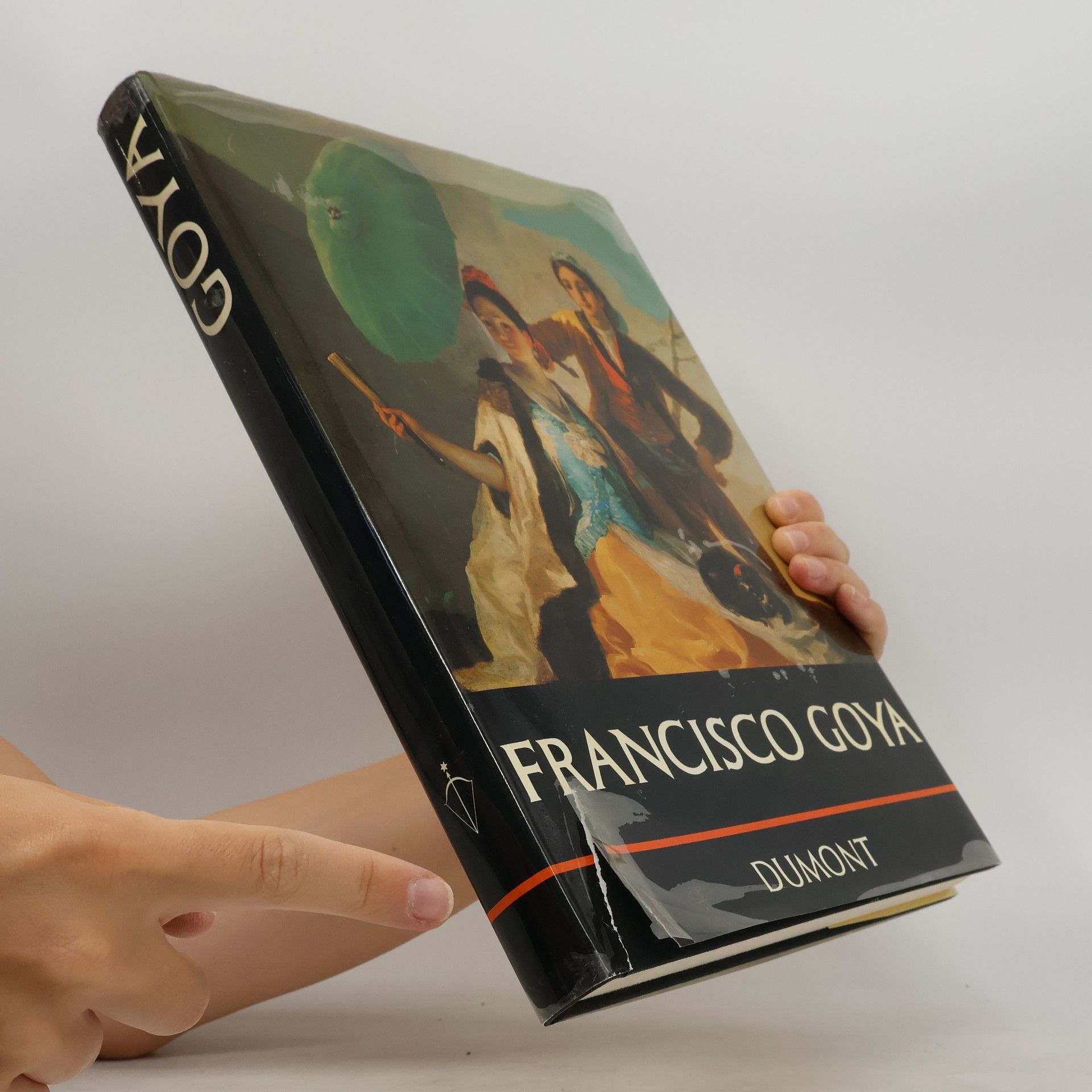 Kolektiv autorů Francisco Goya