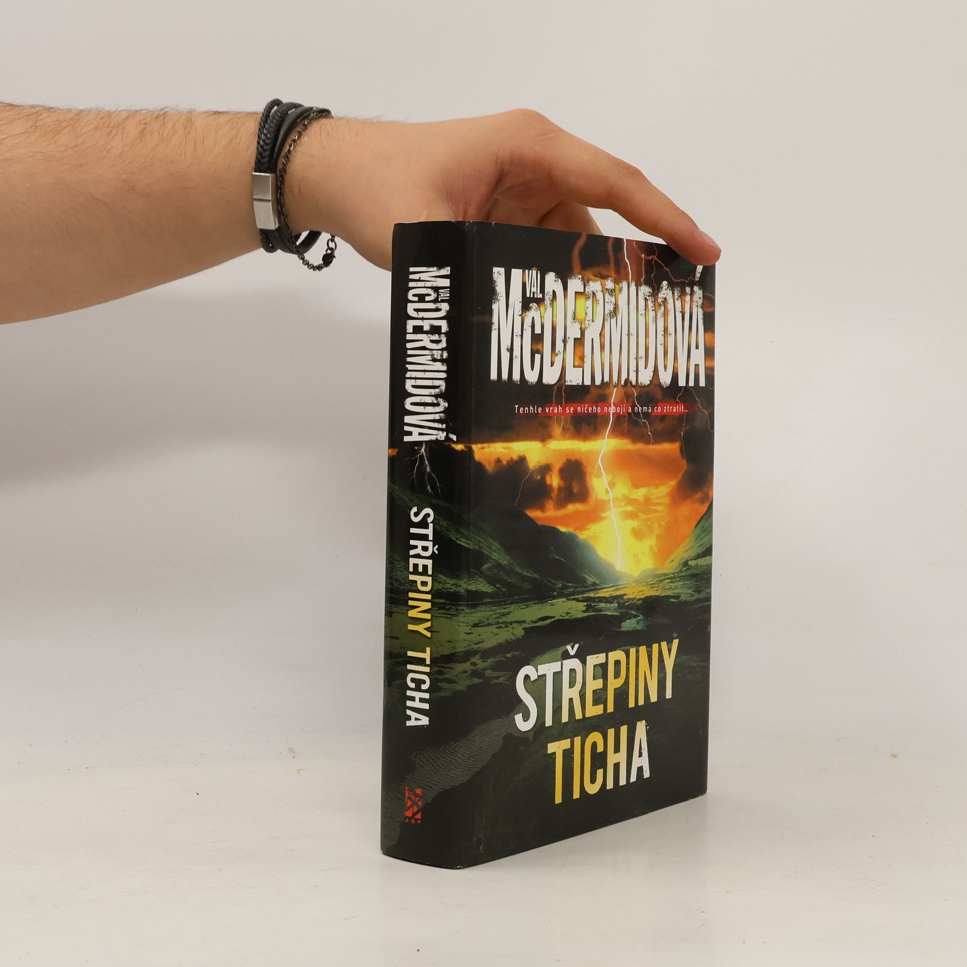 Val McDermid Střepiny ticha