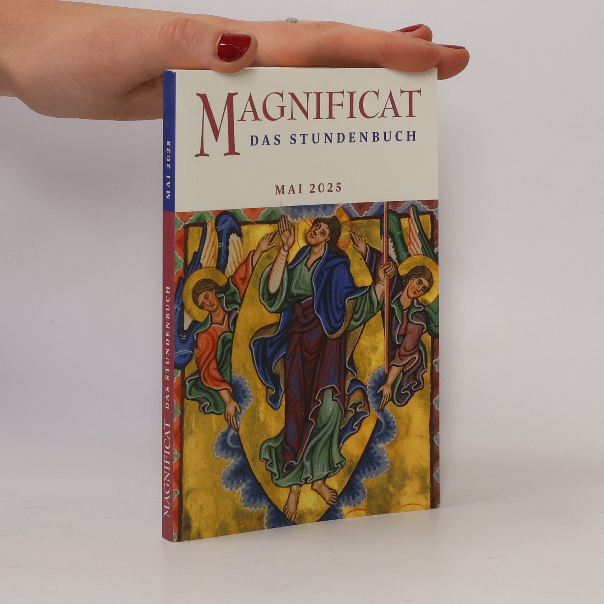 Autores varios Magnificat das Stundenbuch