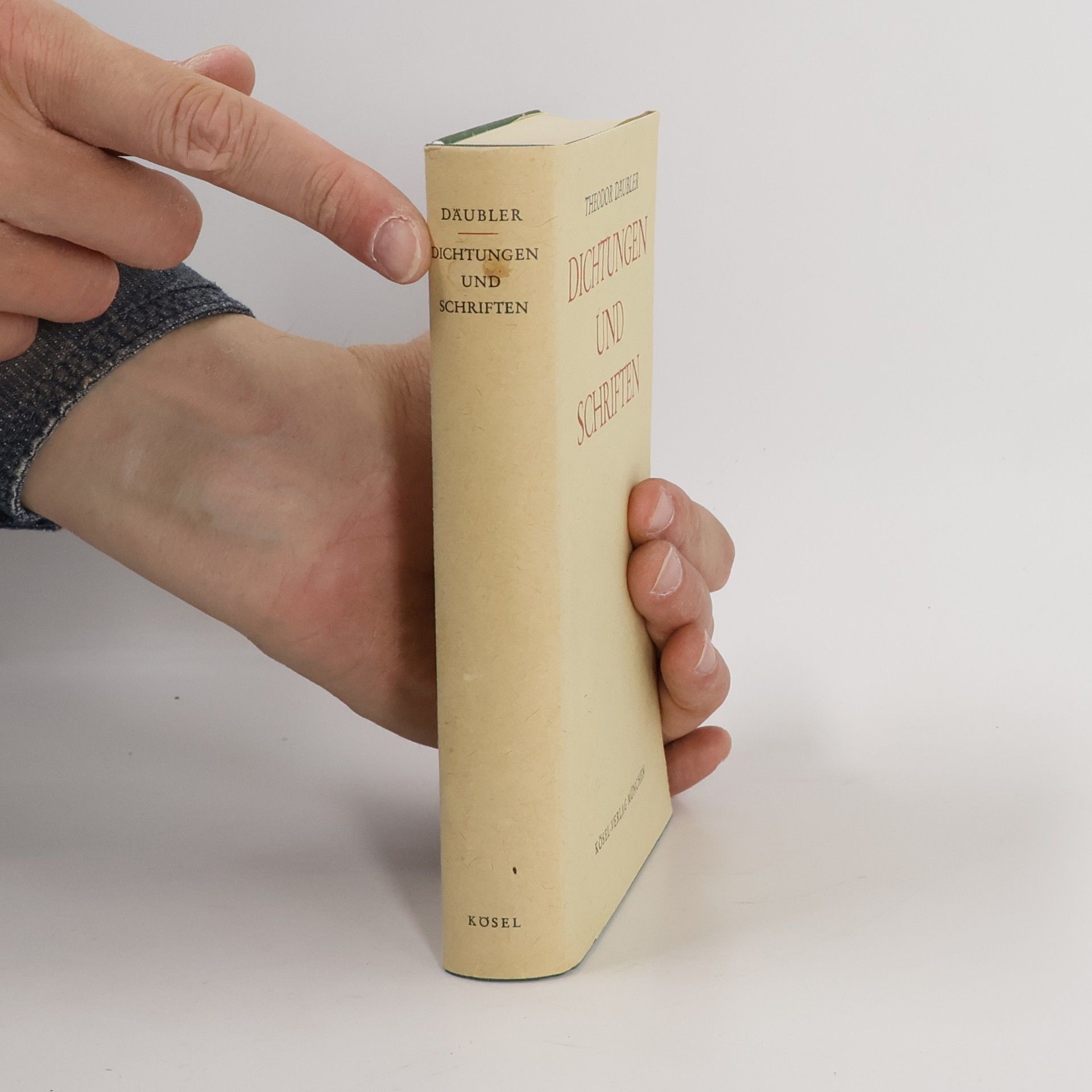 Theodor Daubler Dichtungen und Schriften