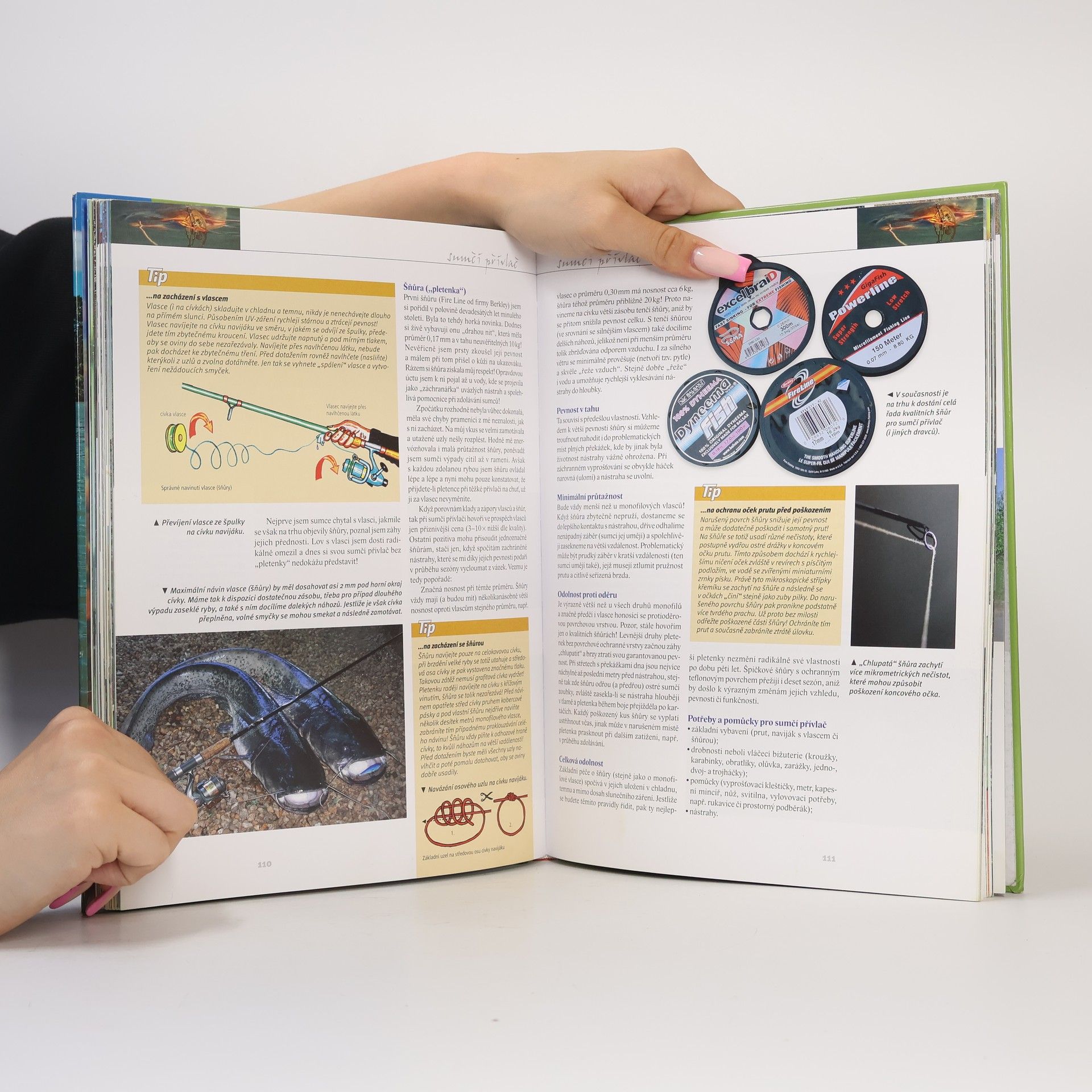 David Havlíček Sumec