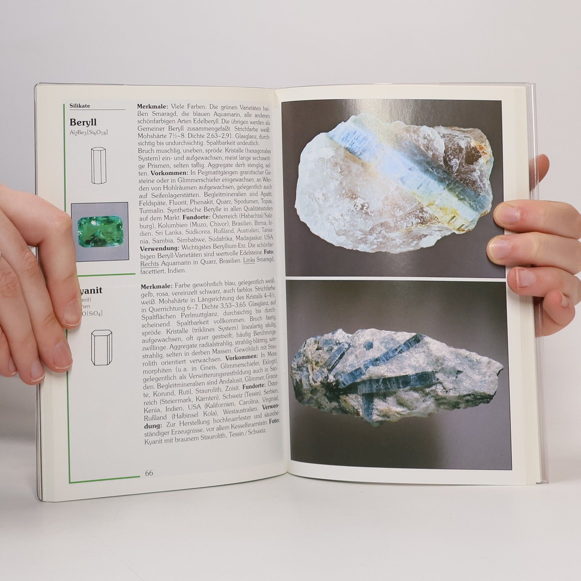 Walter Schumann Mineralien, Gesteine
