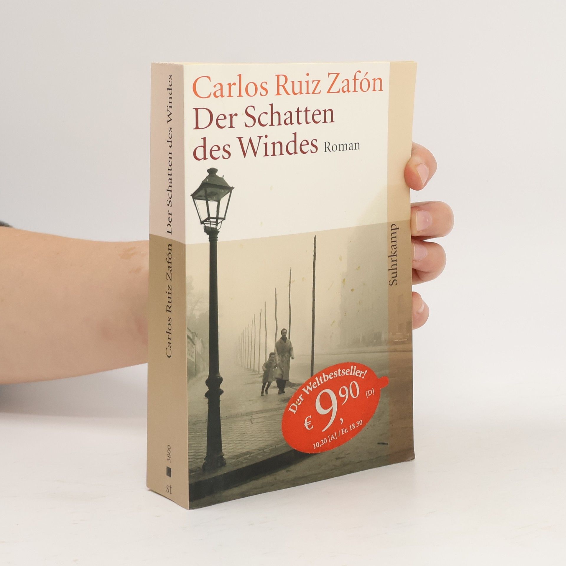 Carlos Ruiz Zafón Der Schatten des Windes