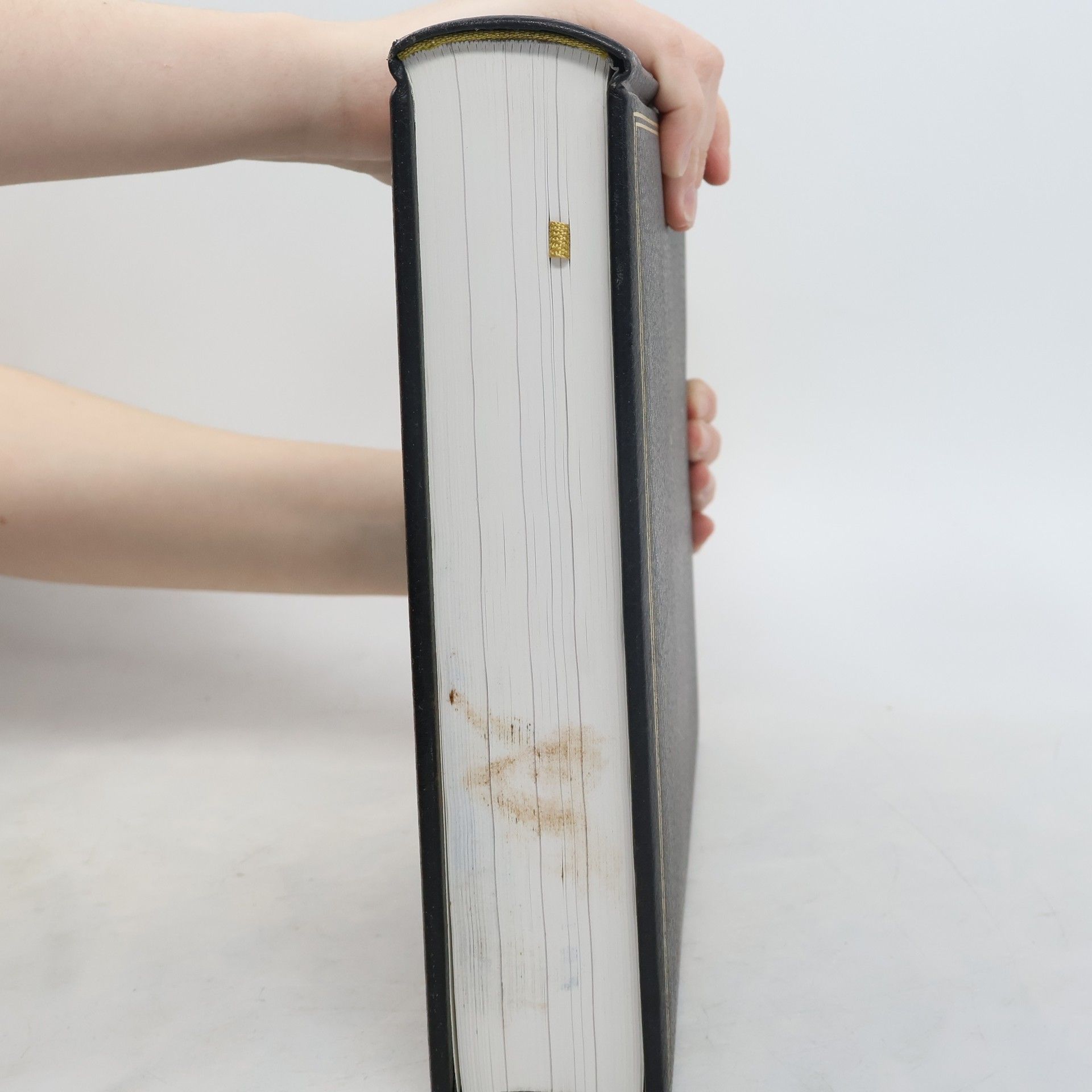Brockhaus - Chronik des 20. Jahrhunderts