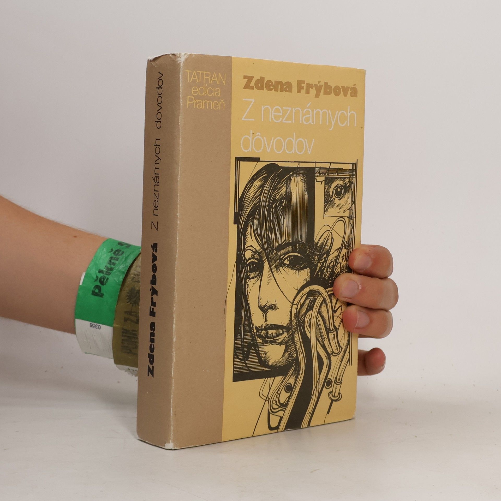 Zdena Frýbová Z neznámych dôvodov