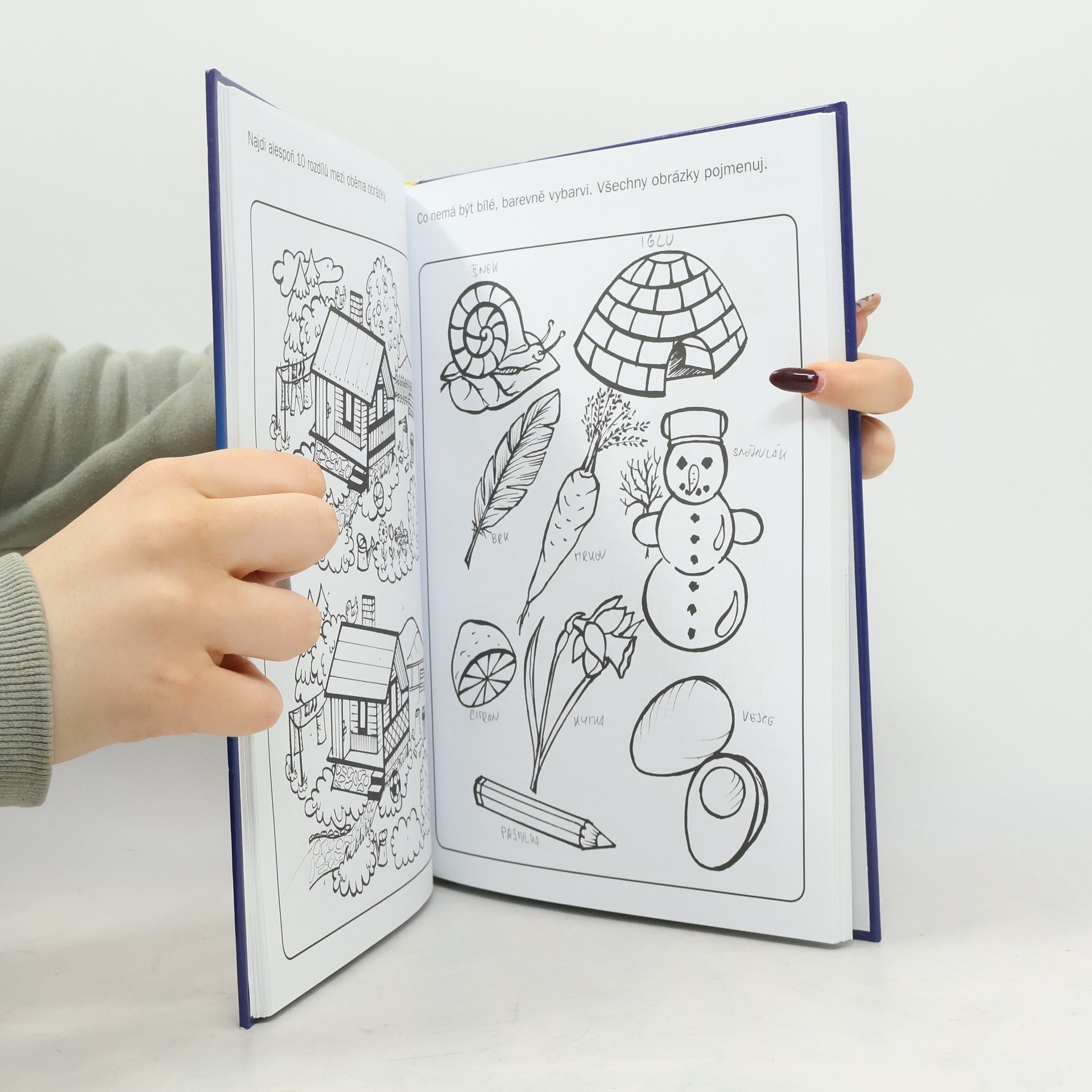 Auteurscollectief Velká kniha her a úkolů pro kluky a holky