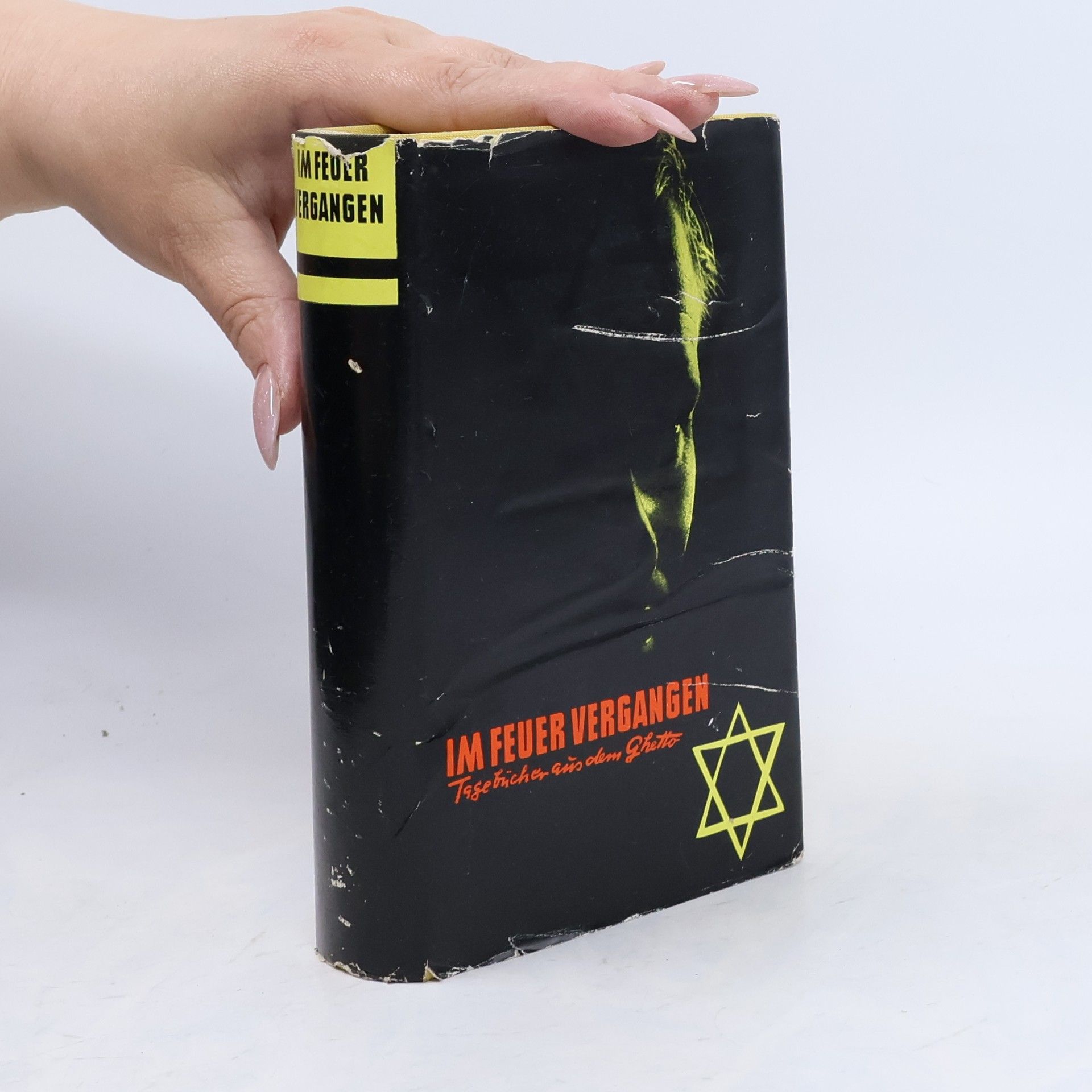 Kolektiv autorů Im Feuer vergangen