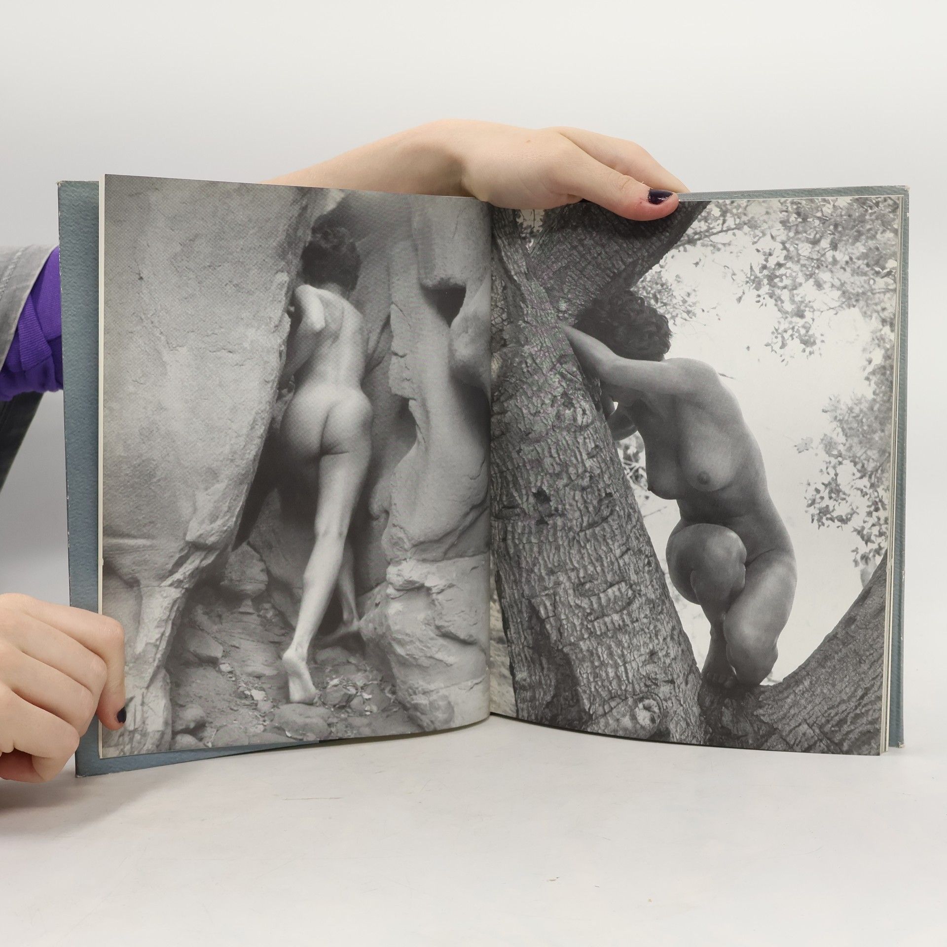 Peter Basch Der Akt in Licht und Schatten