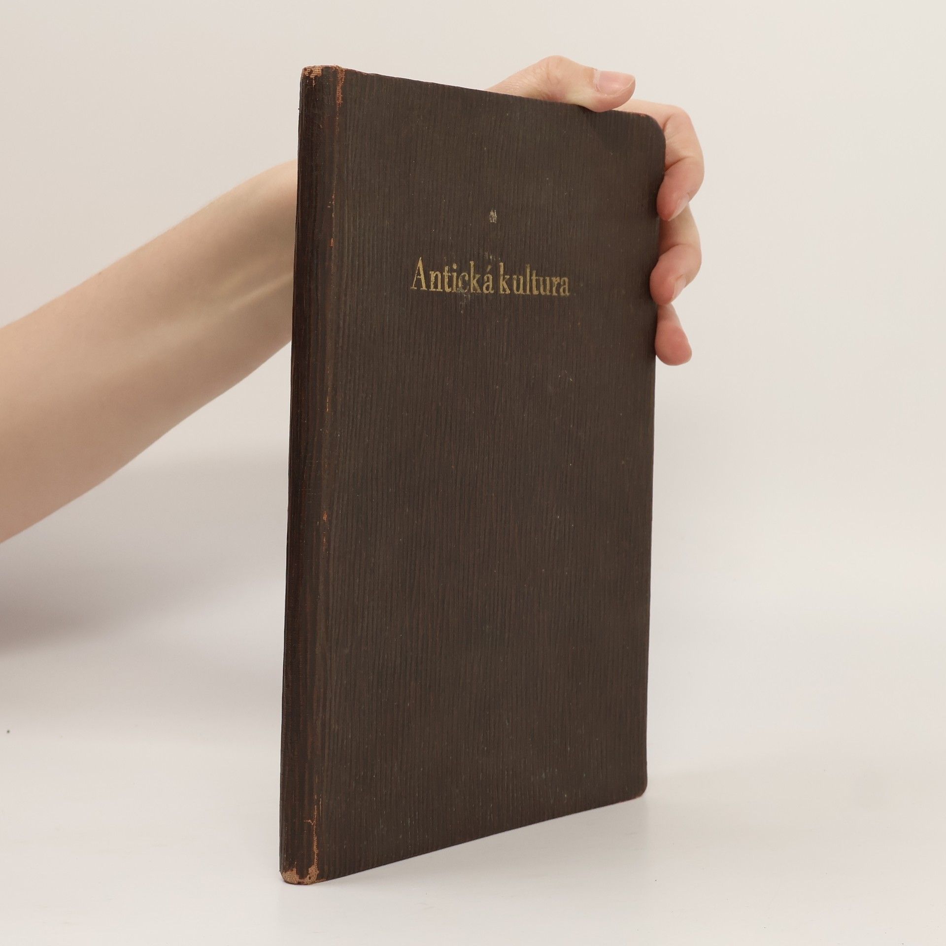 Autorenkollektiv Antická kultura slovem i obrazem