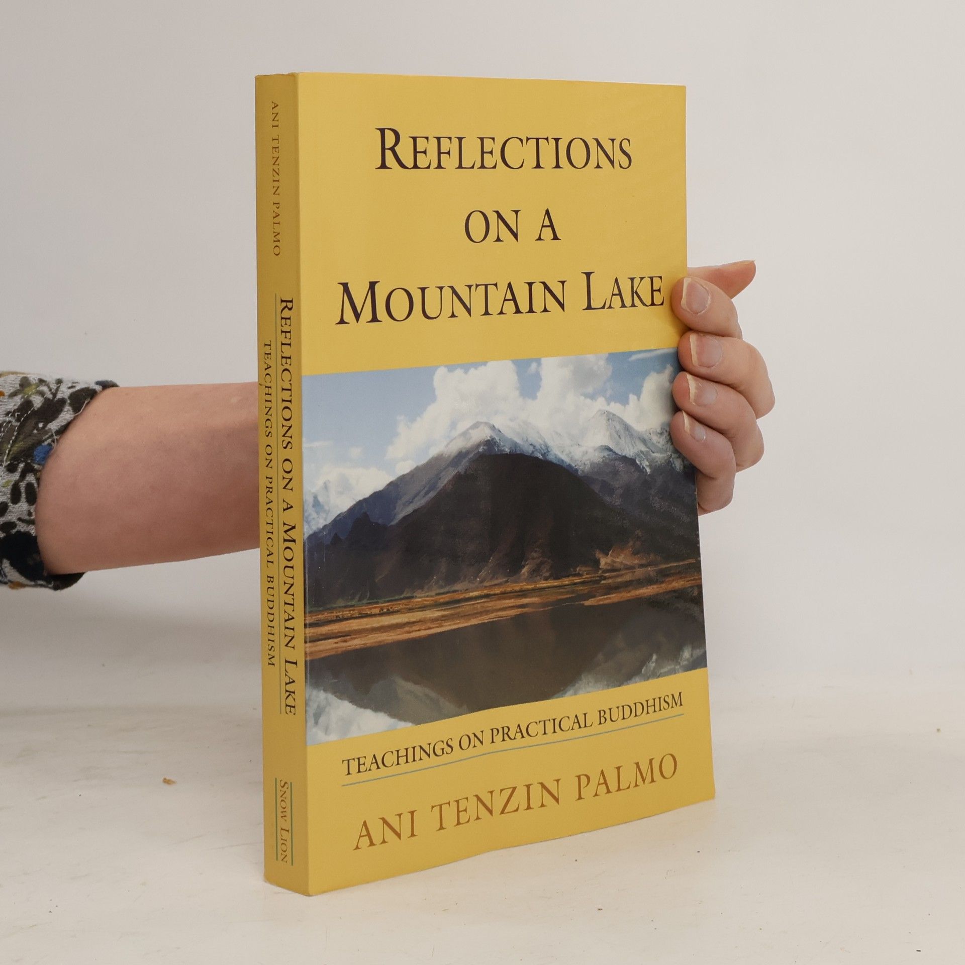 Palmo Tenzin Reflections on a mountain lake. Teachings on practical Buddhism