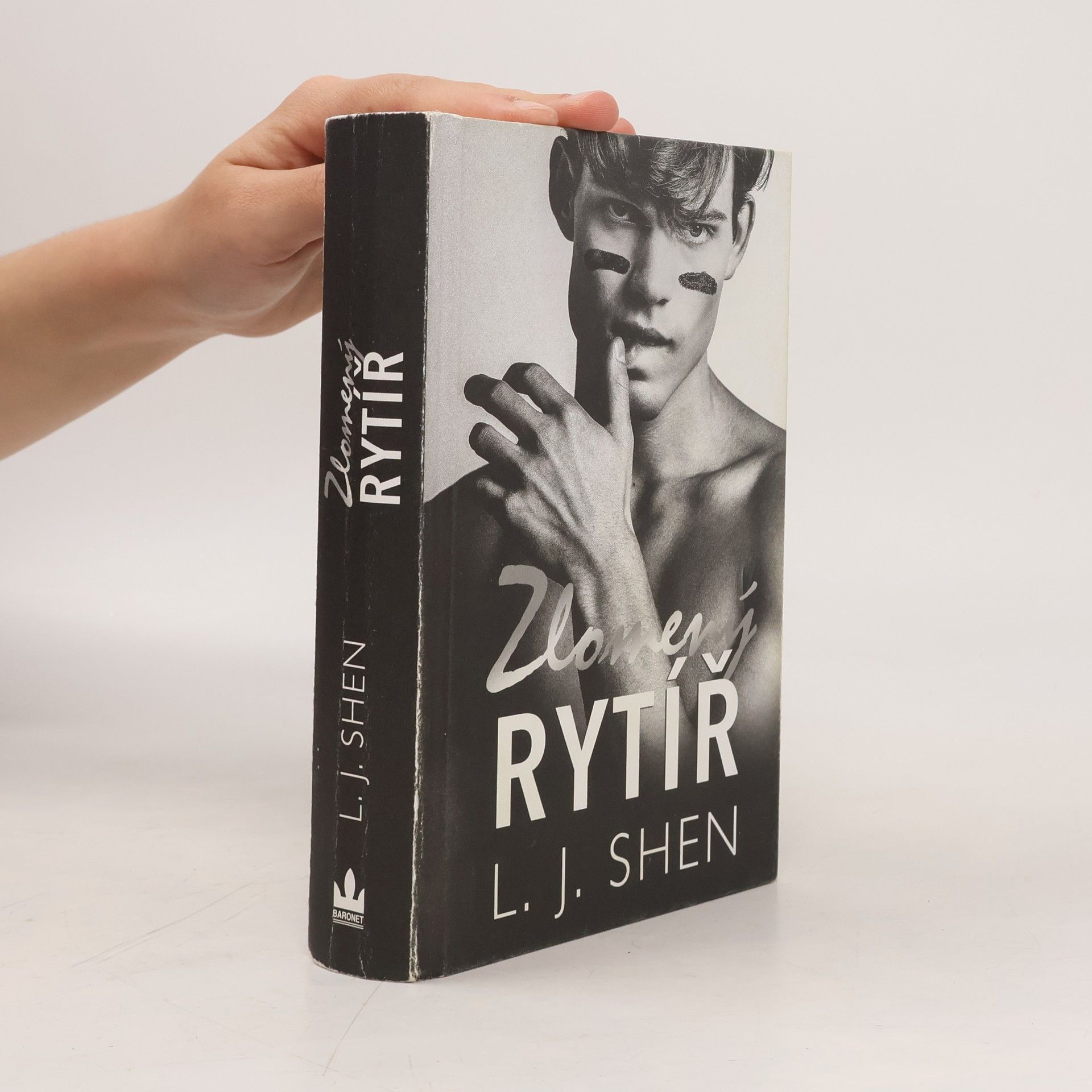 L. J. Shen Zlomený rytíř