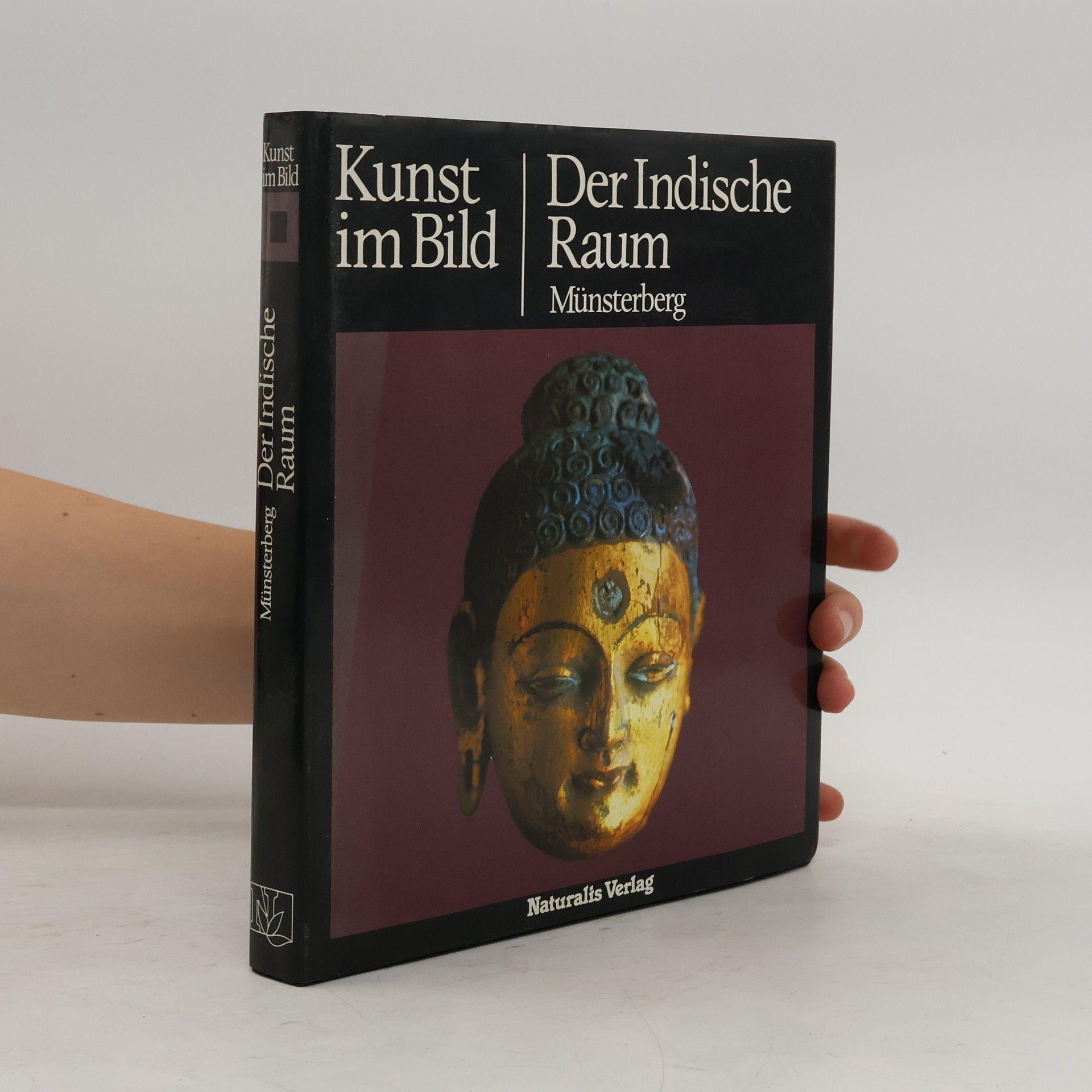 Kolektiv autorů Der indische Raum