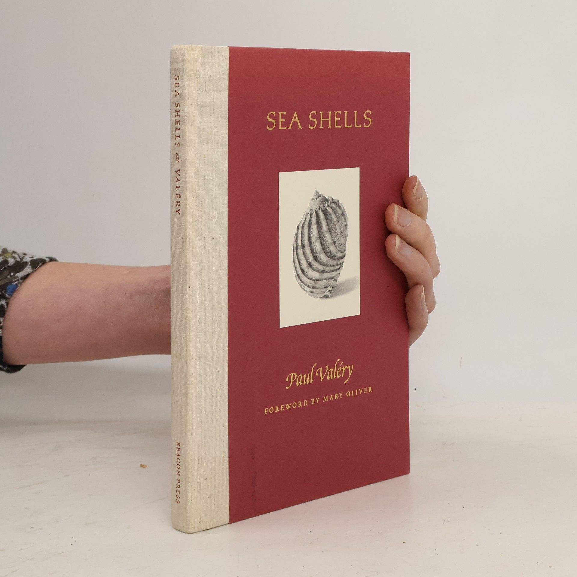 Sea Shells