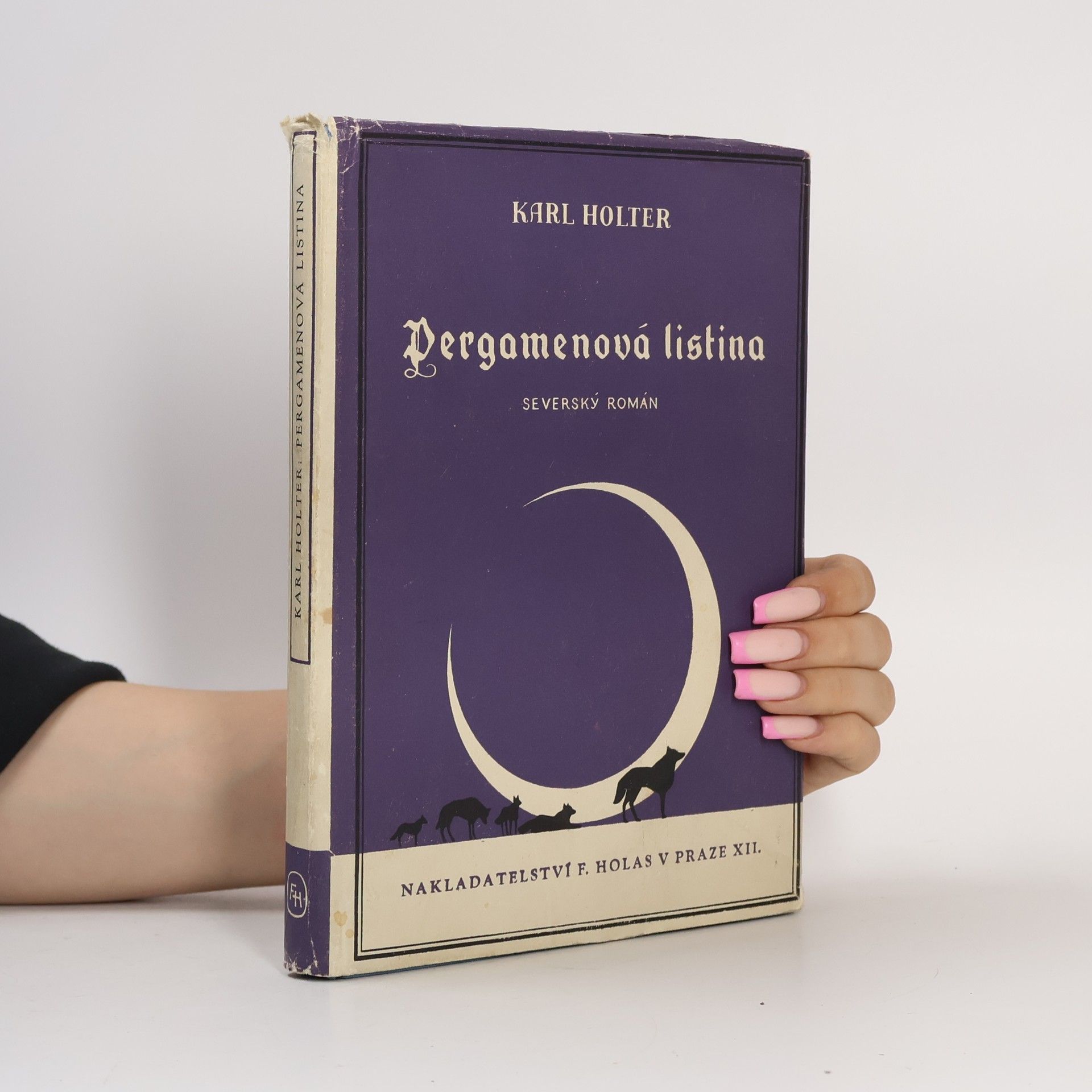 Karl Holter Pergamenová listina. Severský román