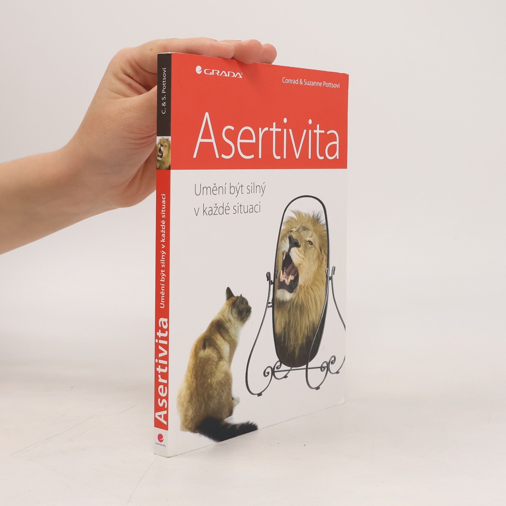 Asertivita: Umění být silný v každé situaci