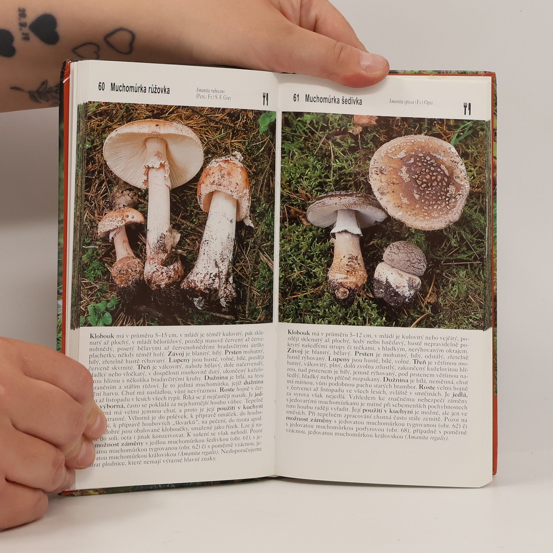 Miroslav Smotlacha Houbařský atlas
