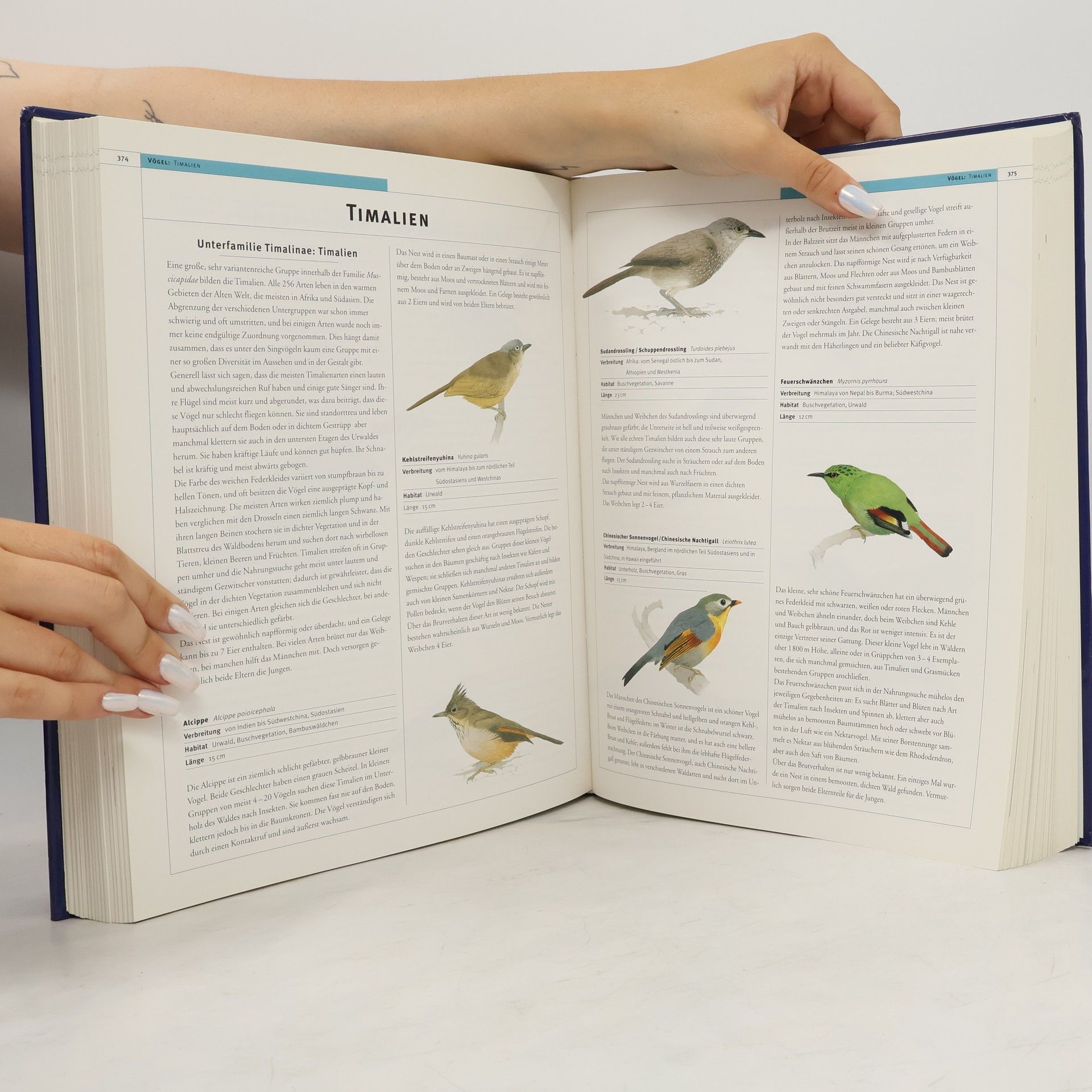 Collectif d'auteurs 2000 Tiere Das Grosse Illustrierte Tierlexikon