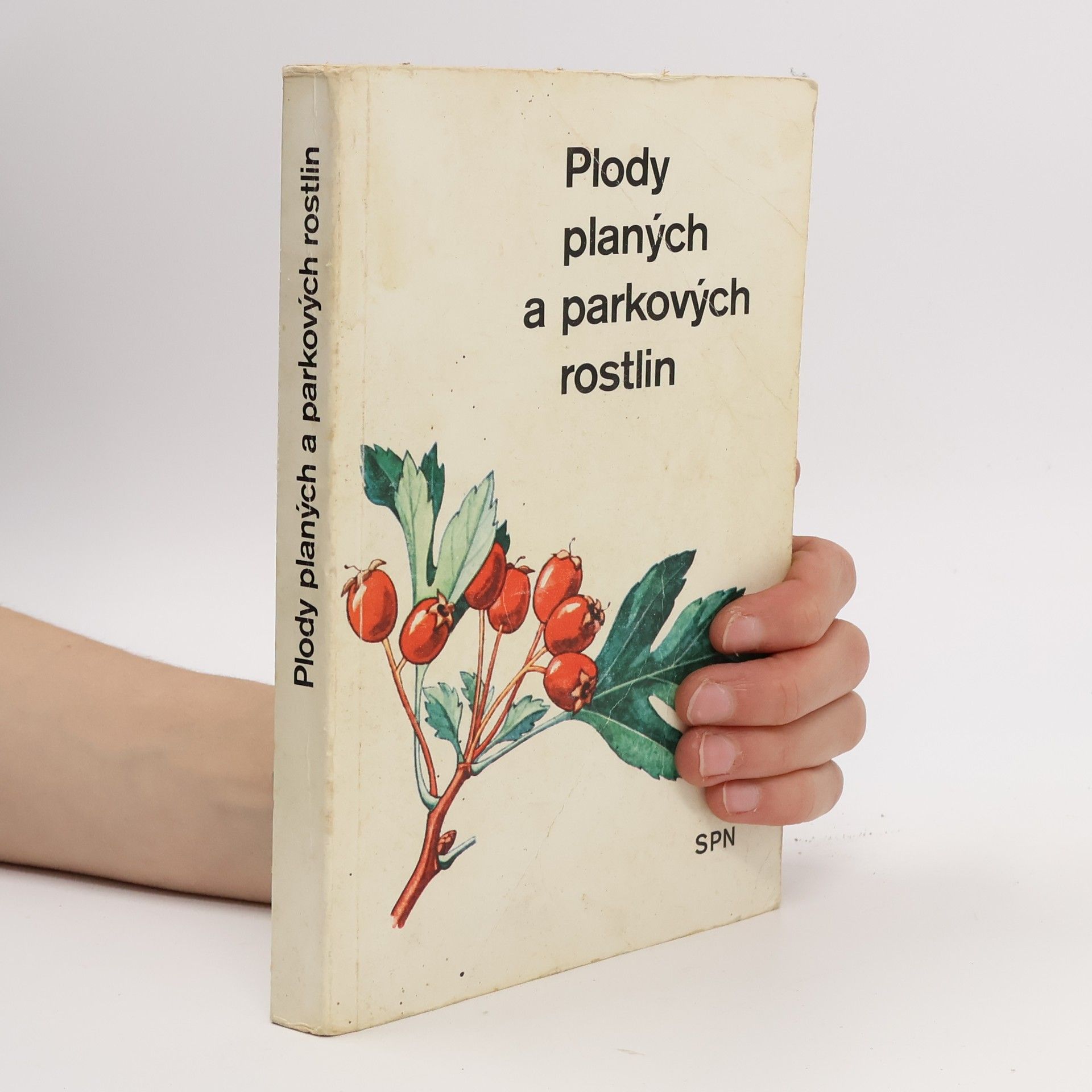 Alois Mikula Plody planých a parkových rostlin : kapesní atlas : pomocná kniha pro biologické zájmové kroužky na školách, v Domech pionýrů a