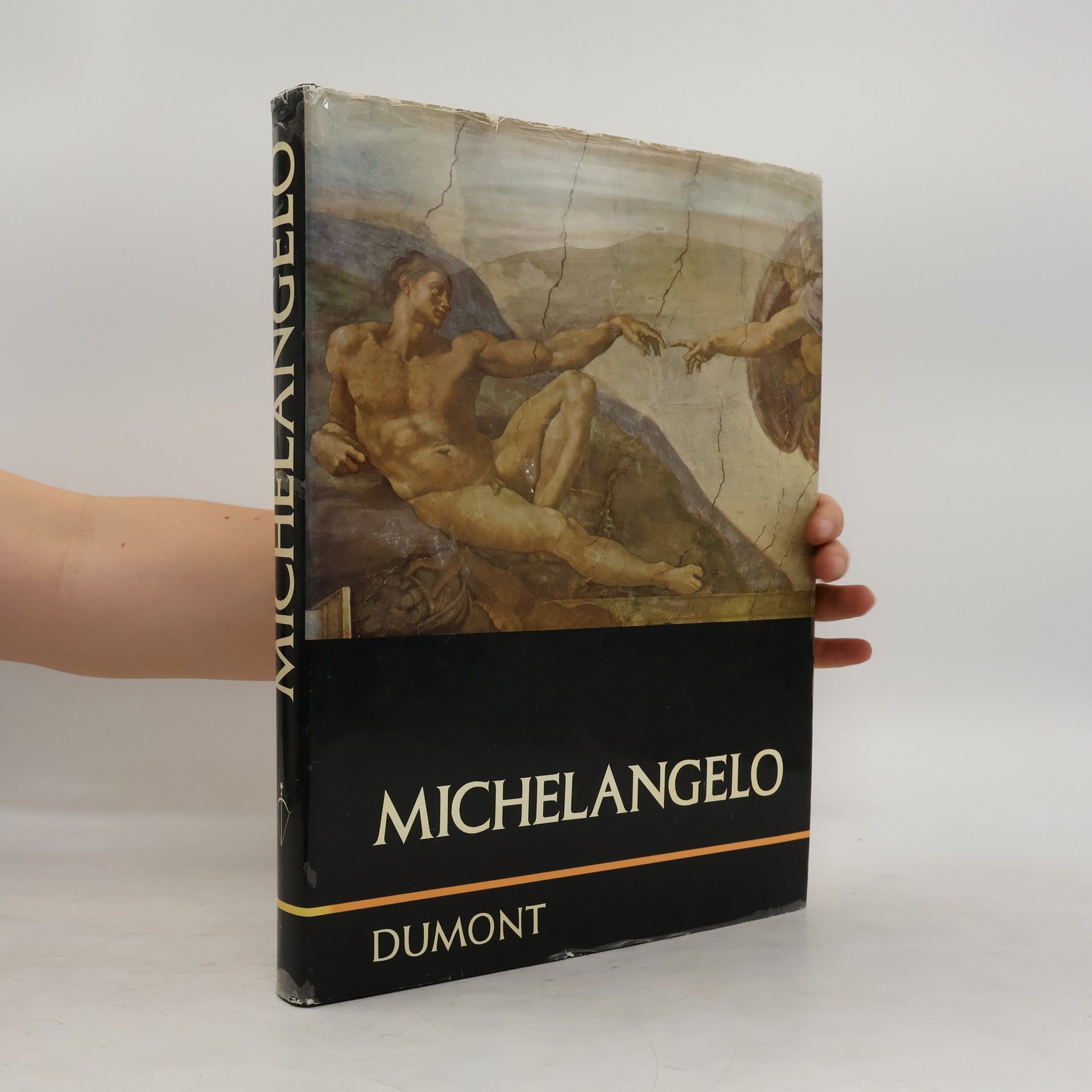 Frederick Hartt Michelangelo