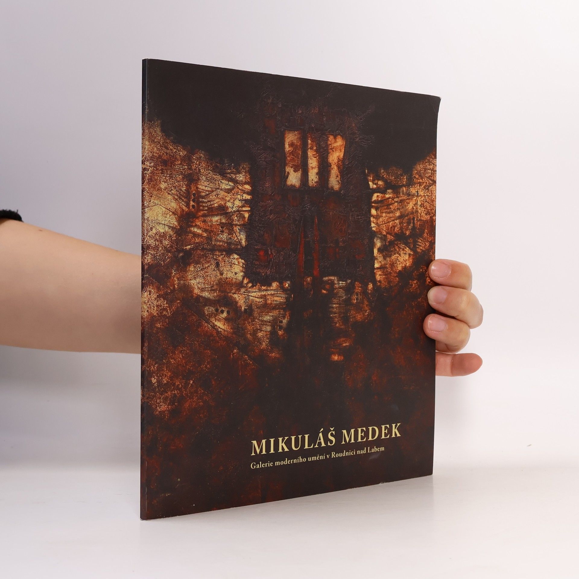 Miroslava Hlaváčková Mikuláš Medek. Galerie moderního umění v Roudnici nad Labem
