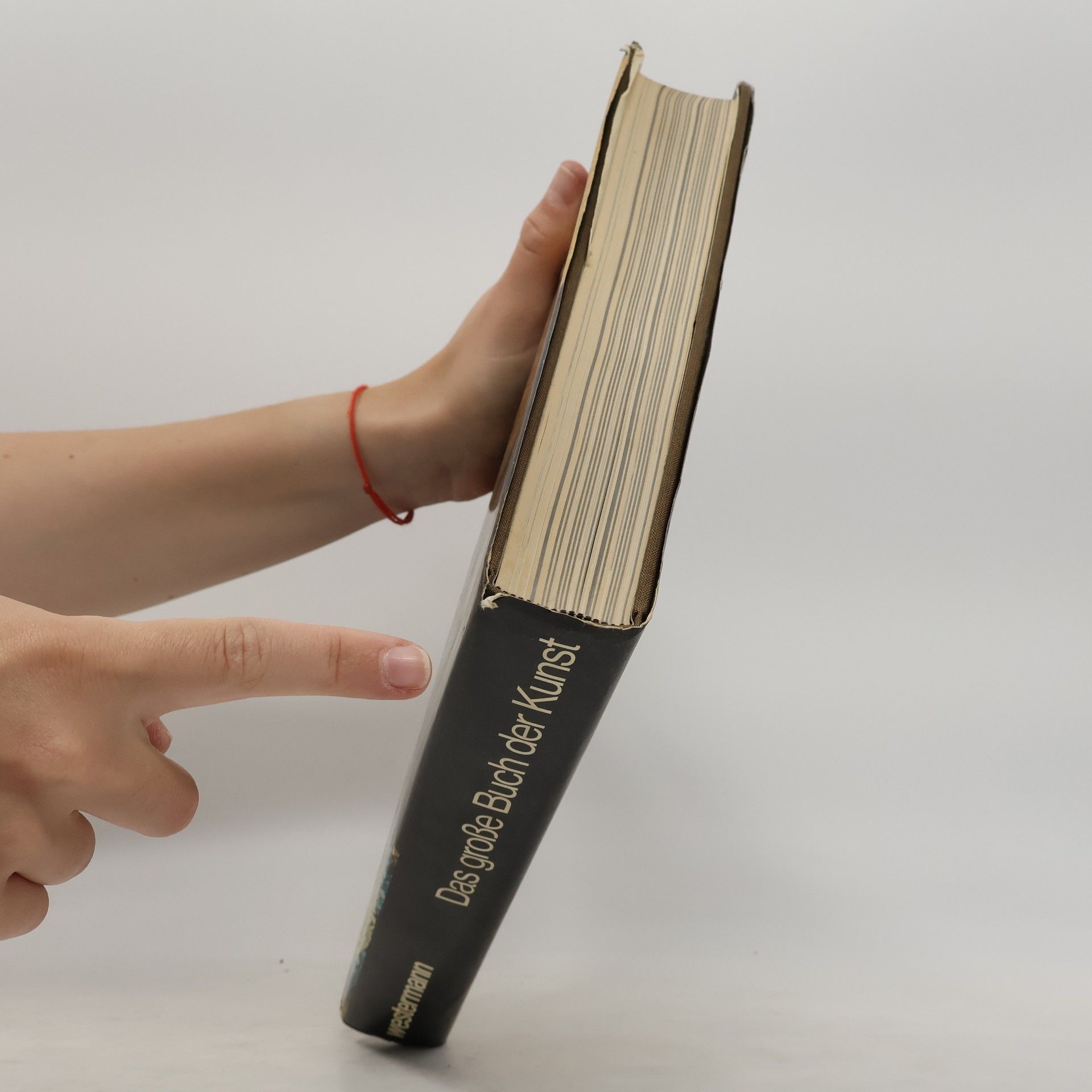 Bert Bilzer Das grosse Buch der Kunst