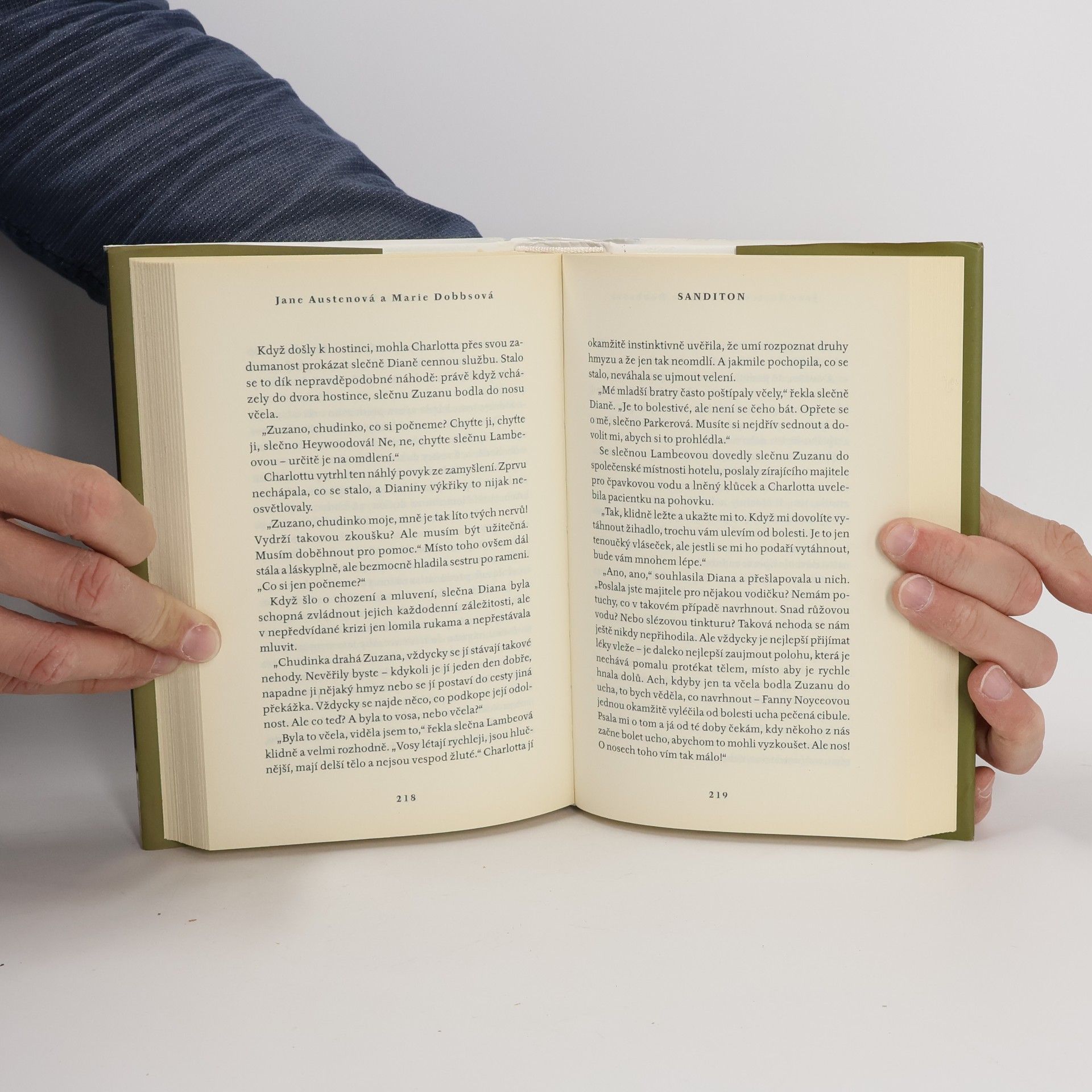 Jane Austen Sanditon