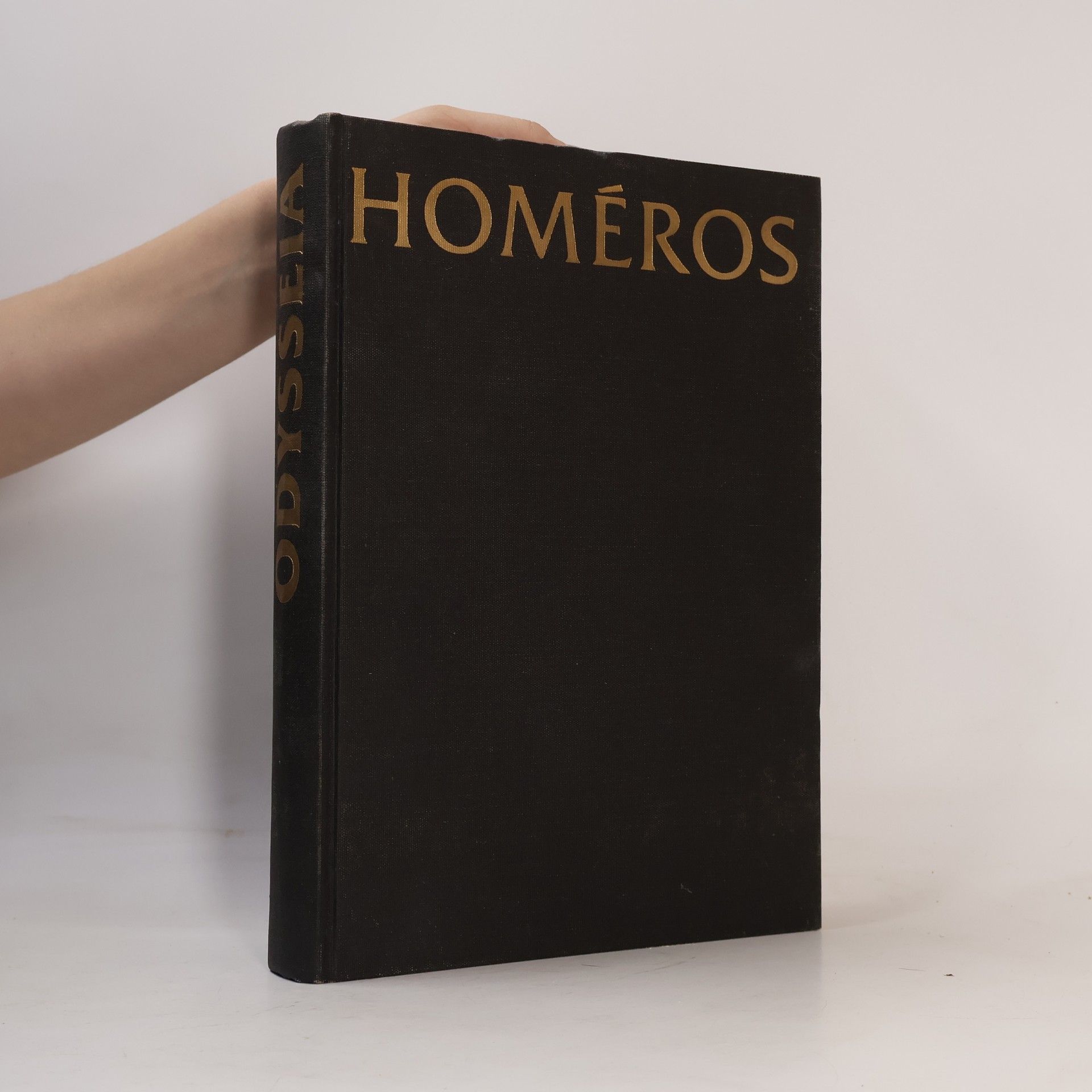 Homér Homéros. Odysseia