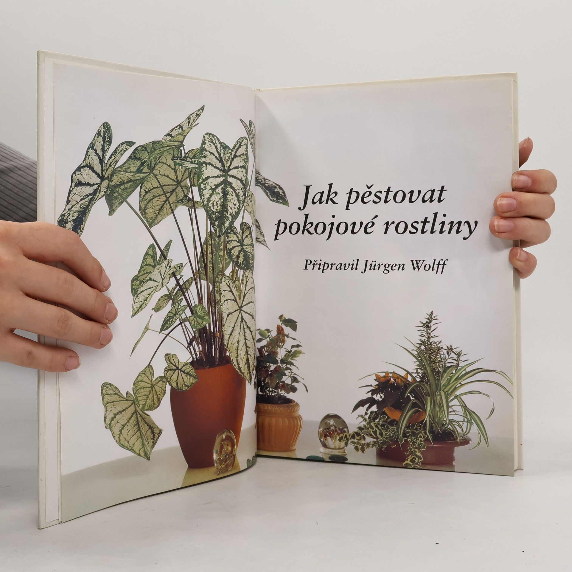 Jürgen Wolf Jak pěstovat pokojové rostliny