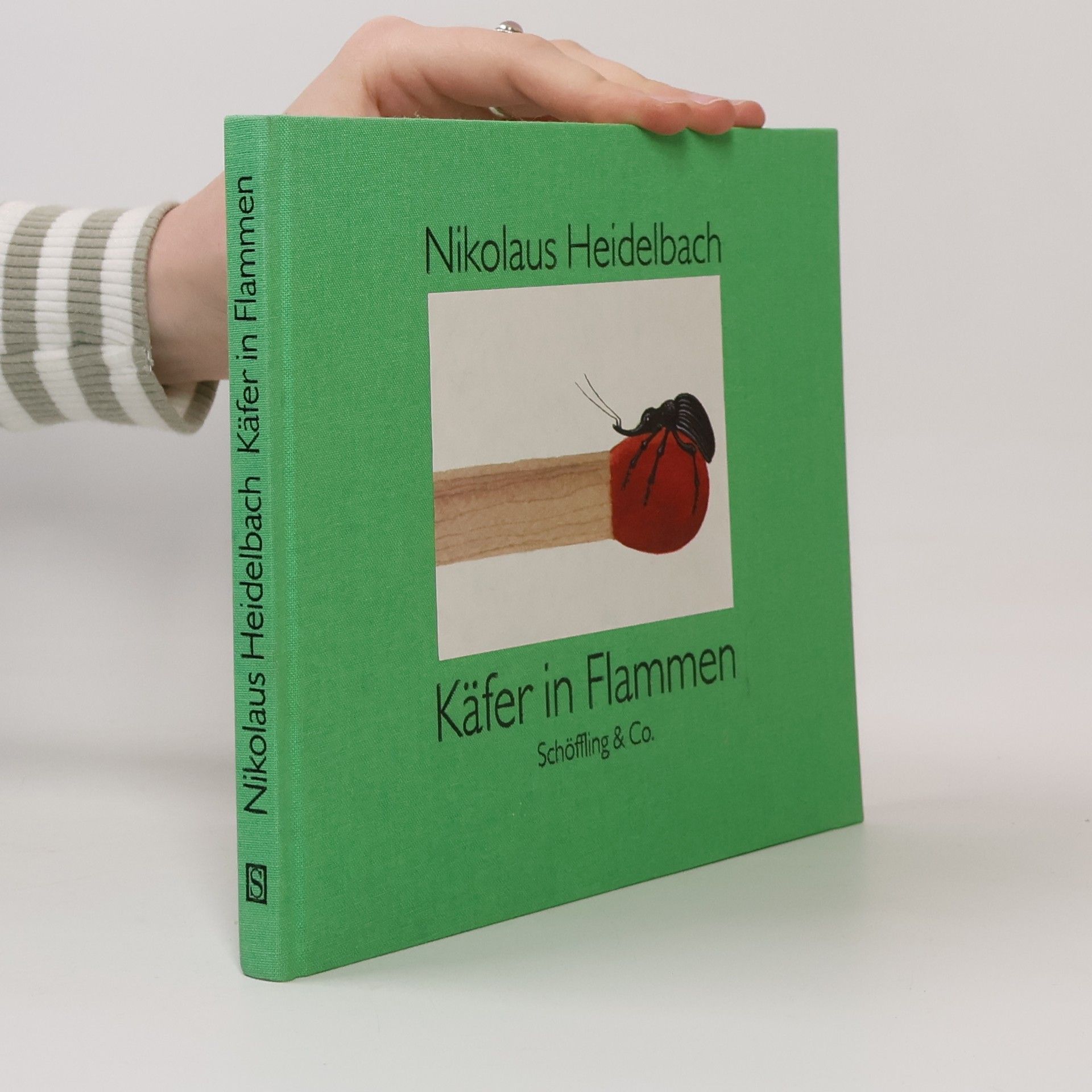 Nikolaus Heidelbach Käfer in Flammen