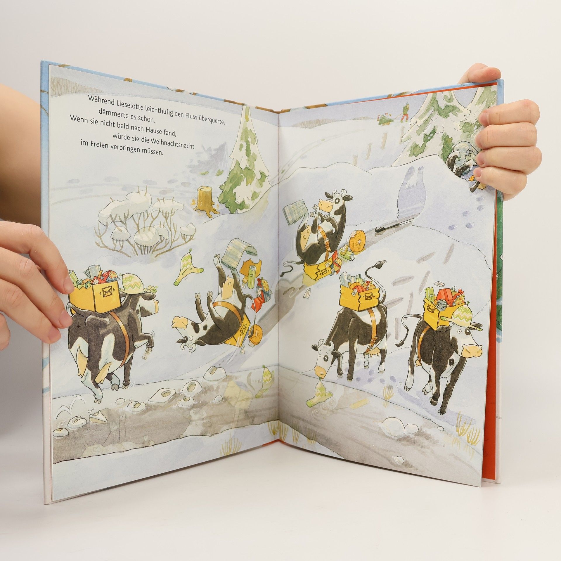 Alexander Steffensmeier Lieselotte im Schnee