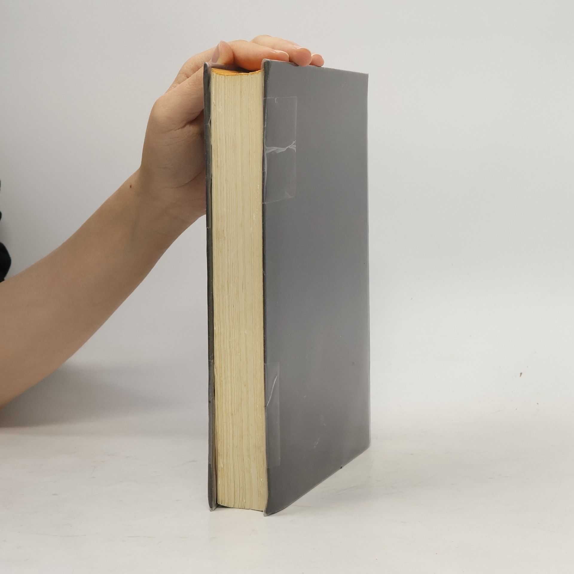 Paul Rießler Altjüdisches Schrifttum außerhalb der Bibel
