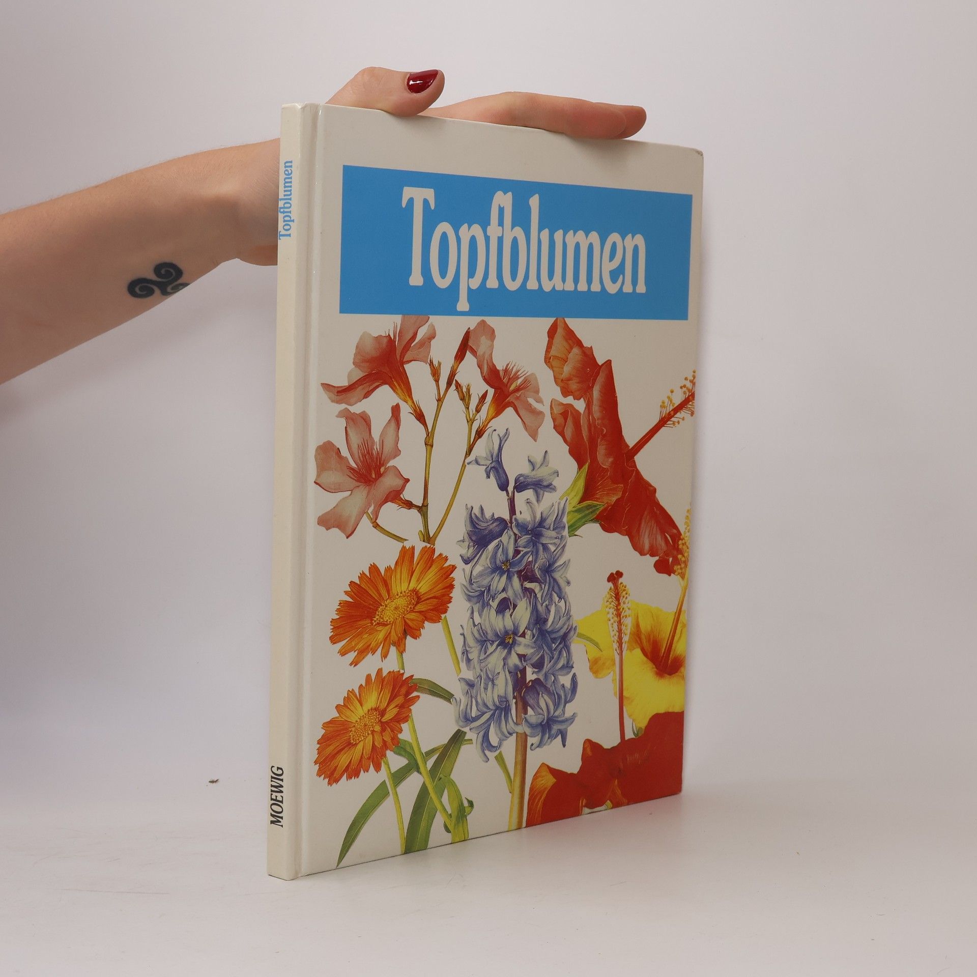 Doris Gottwald Topfblumen