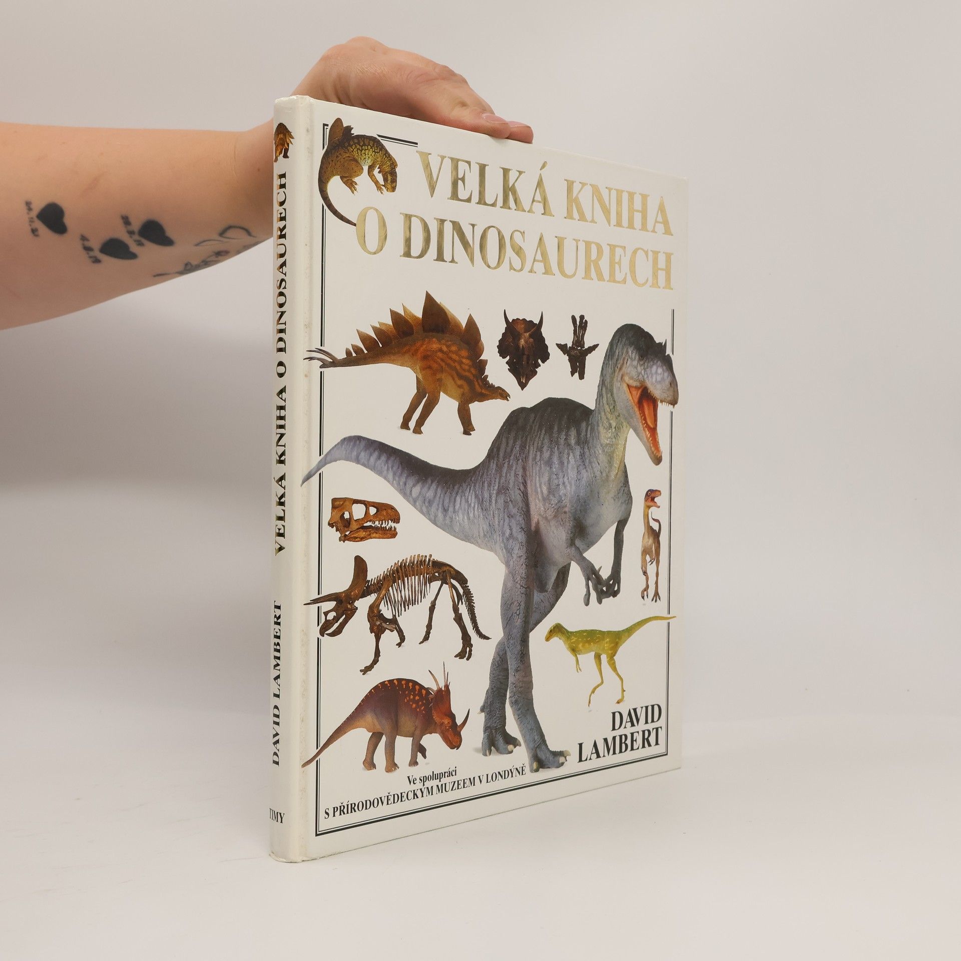 David Lambert Velká kniha o dinosaurech