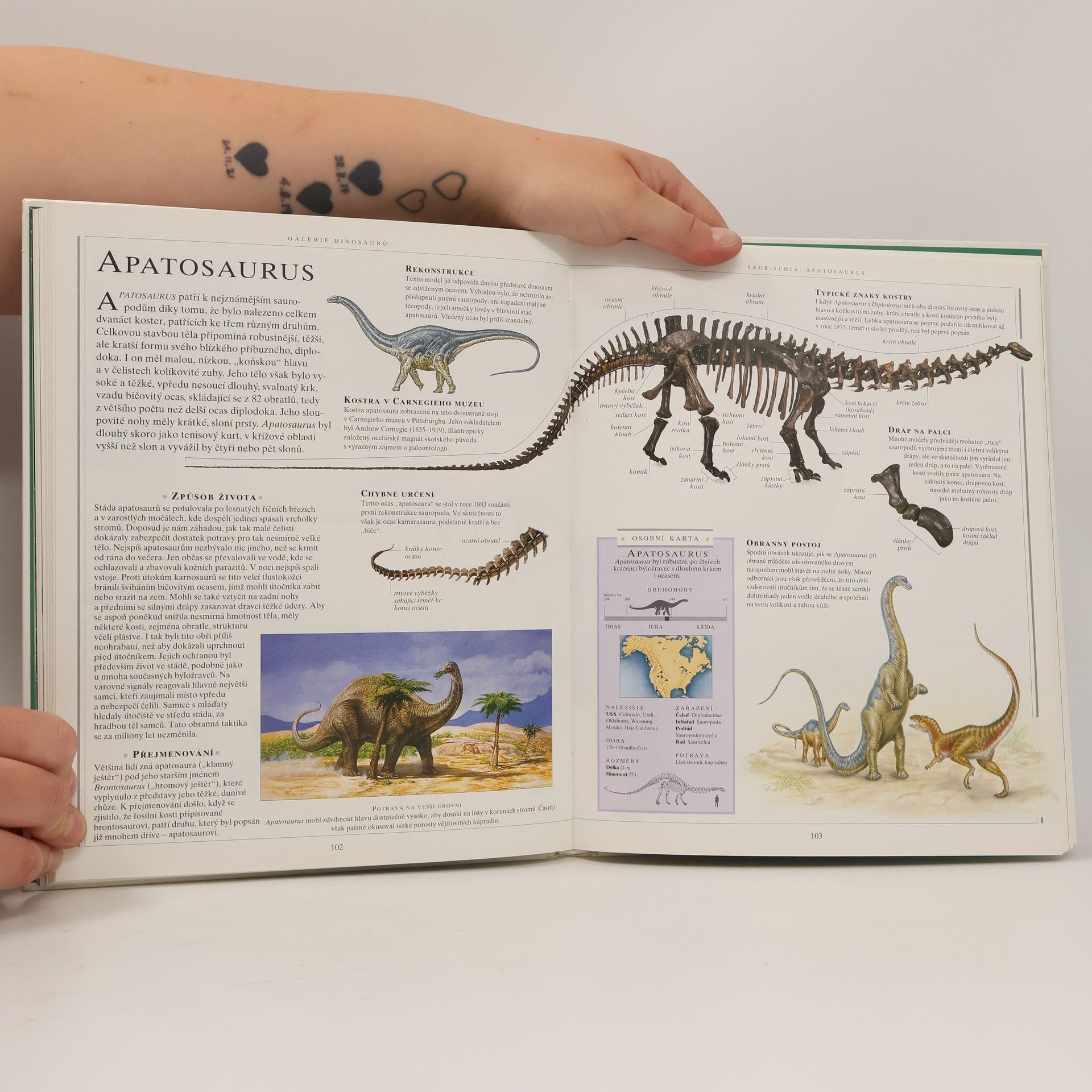 David Lambert Velká kniha o dinosaurech