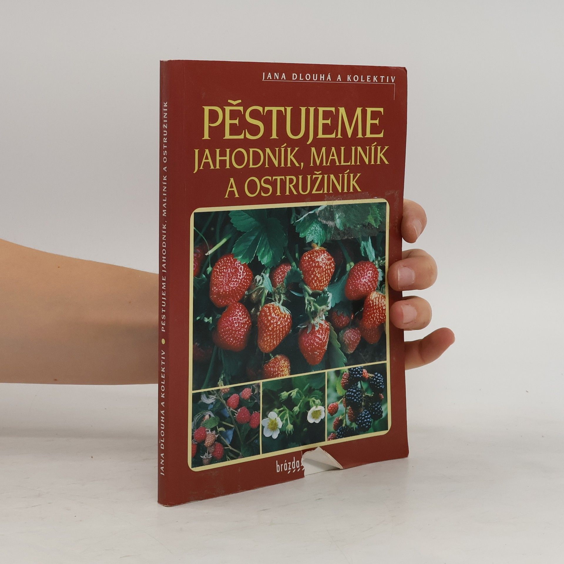 Jana Dlouhá Pěstujeme jahodník, maliník a ostružiník