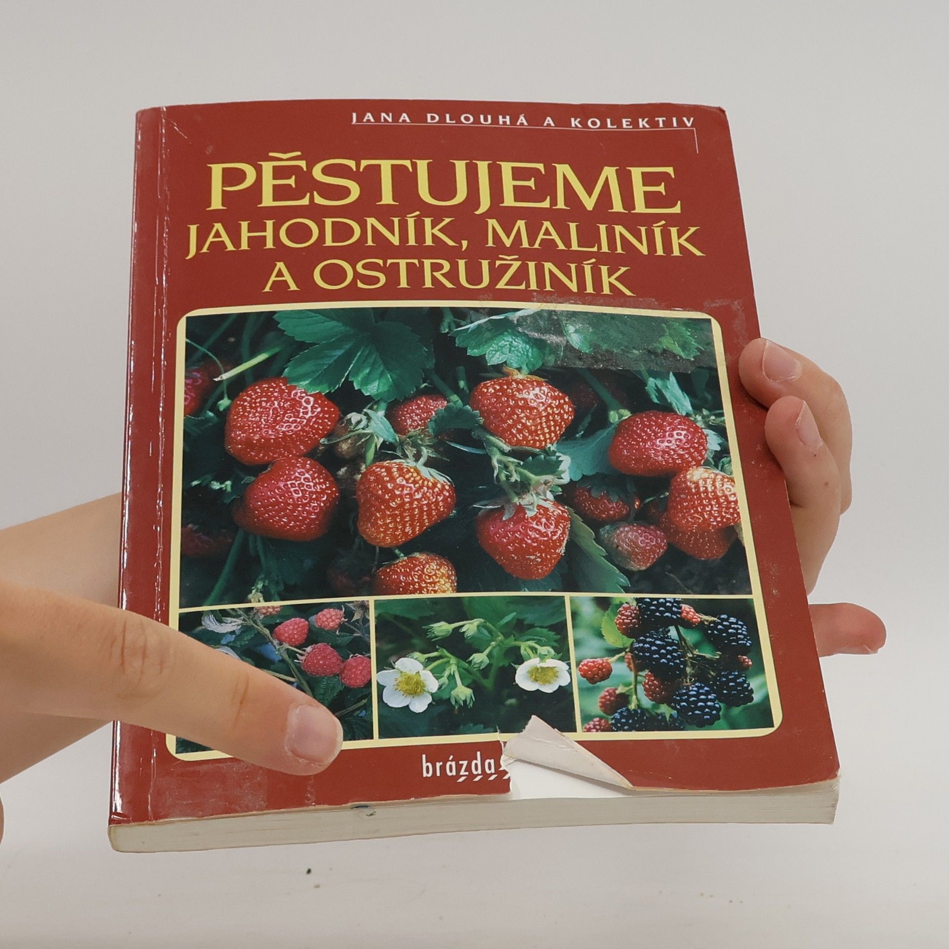 Jana Dlouhá Pěstujeme jahodník, maliník a ostružiník