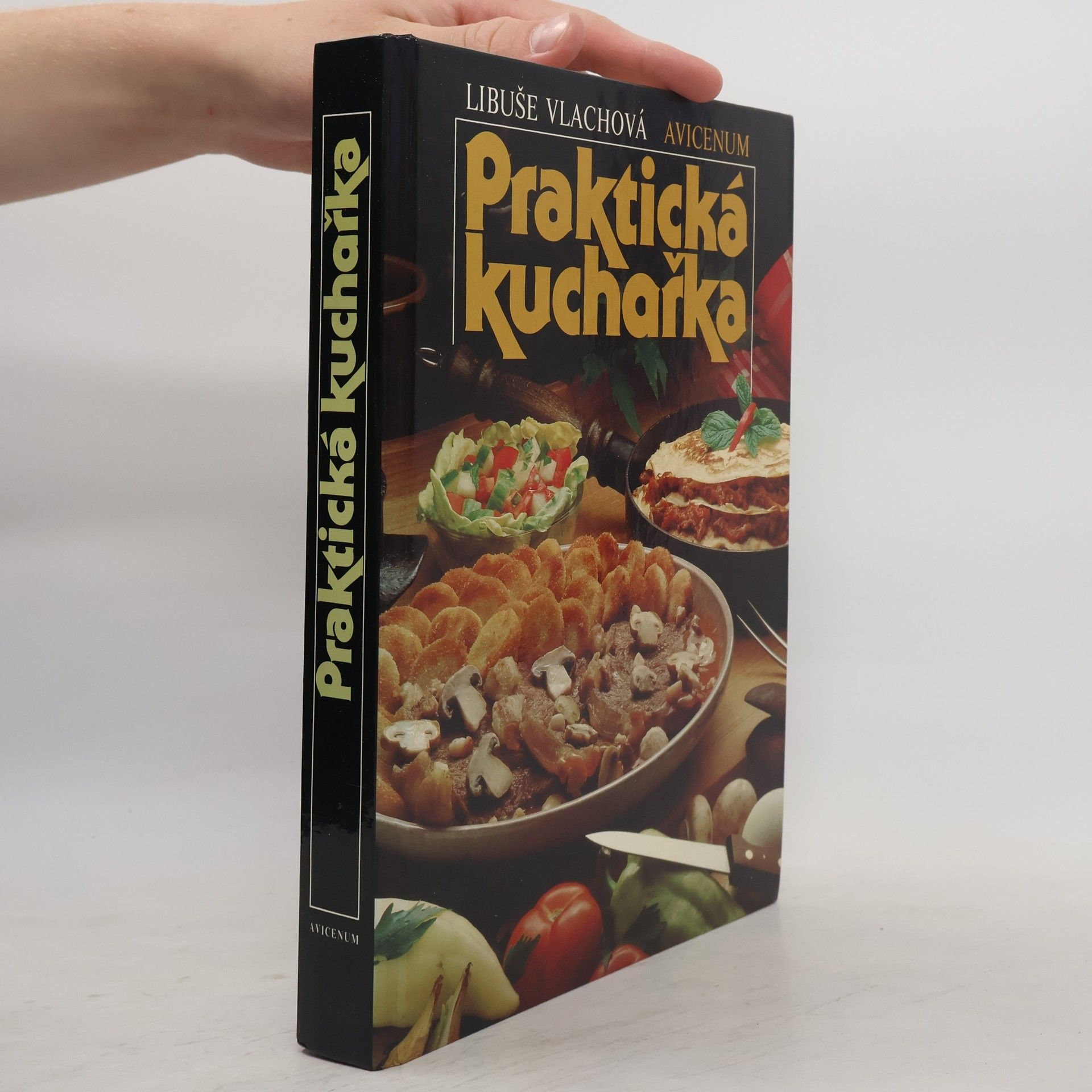 Libuše Vlachová Praktická kuchařka