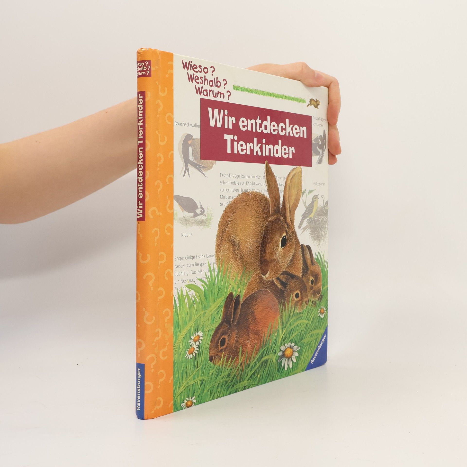 Heinz Helge Schulze Wir entdecken Tierkinder