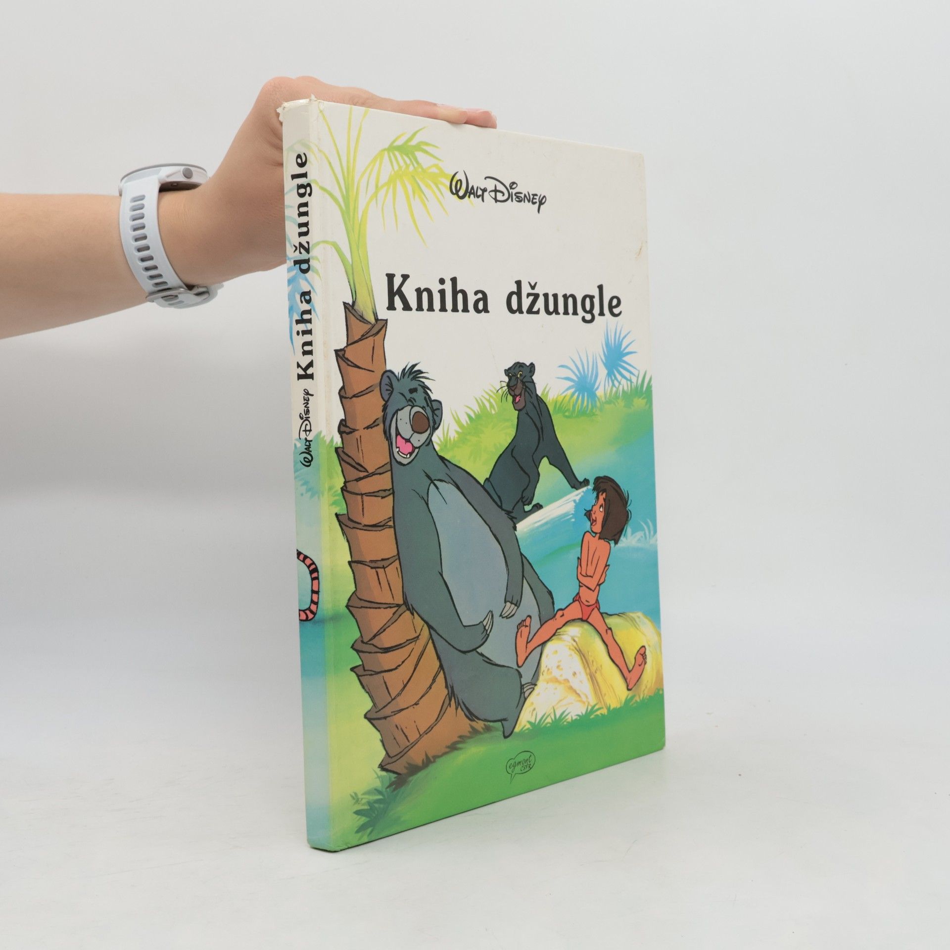 Walt Disney Kniha džungle