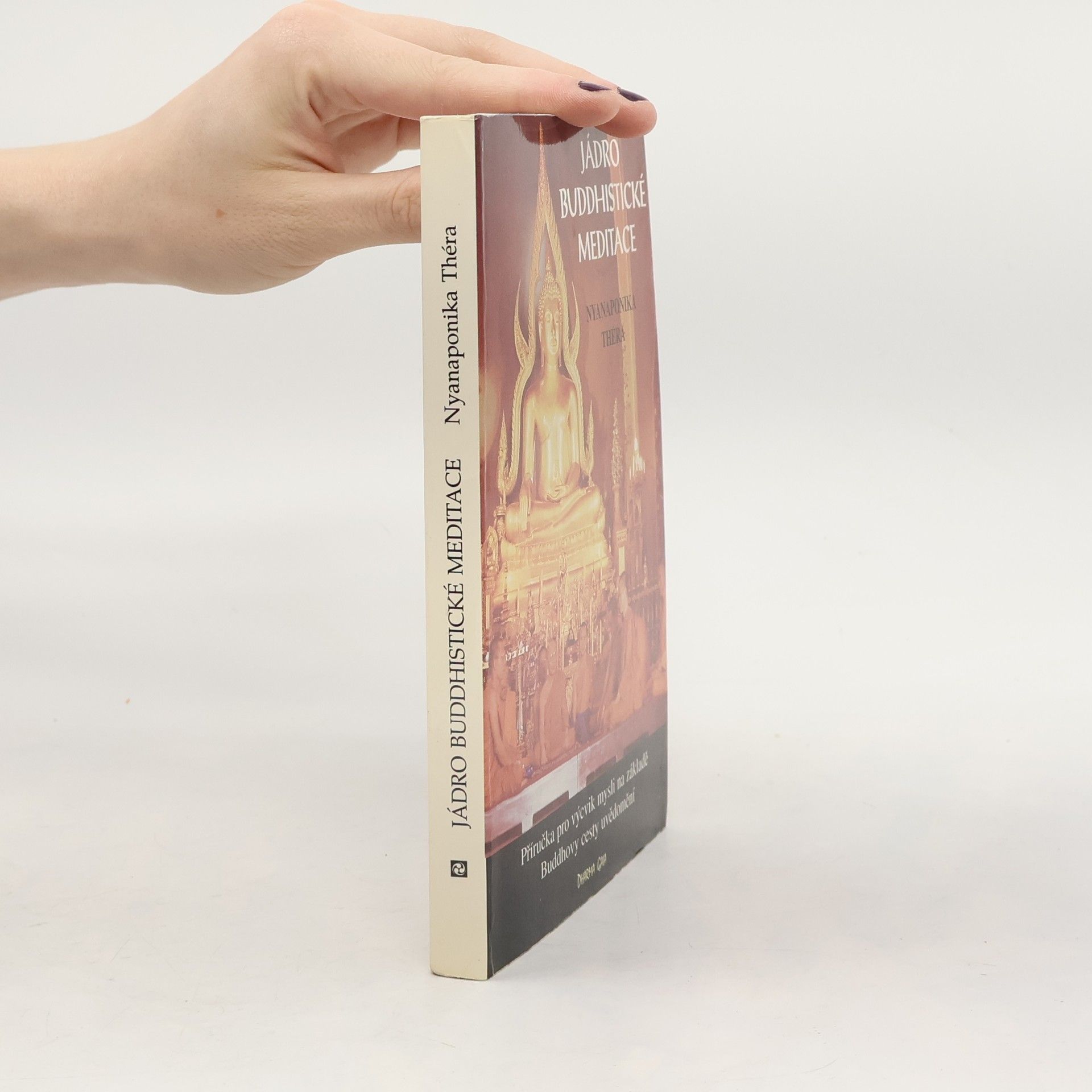 Ñāṇaponika Jádro buddhistické meditace : satipatthána : příručka pro výcvik mysli na základě Buddhovy cesty uvědomění : s antologií textů přeložených z pálijštiny a sanskrtu