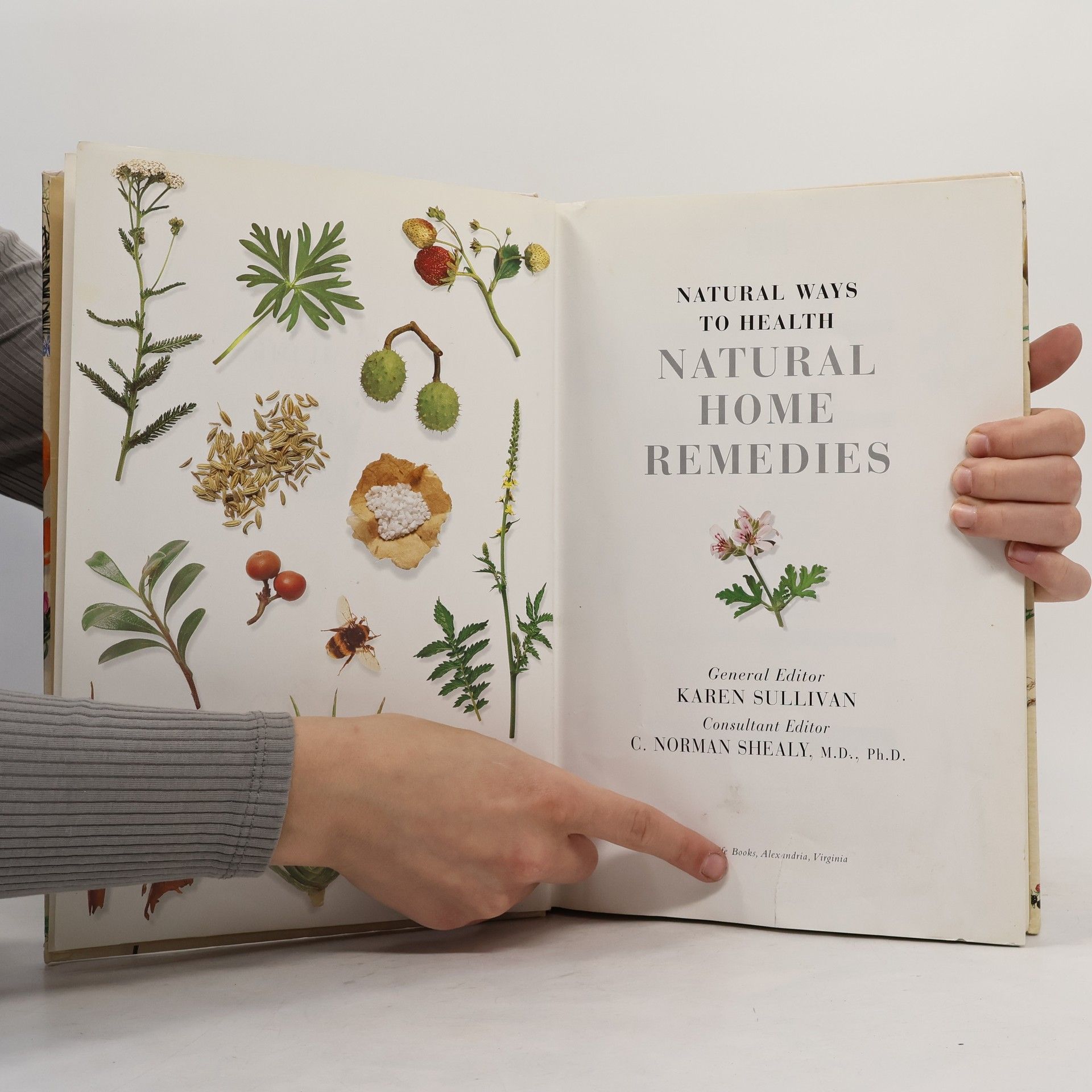 C. Norman Shealy Natural Home Remedies