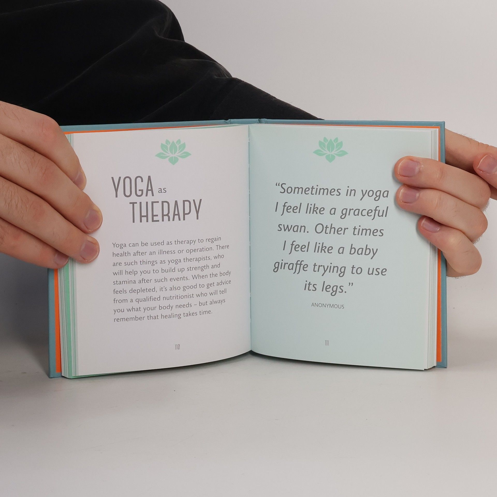 Fiona Channon The Little Book of Yoga