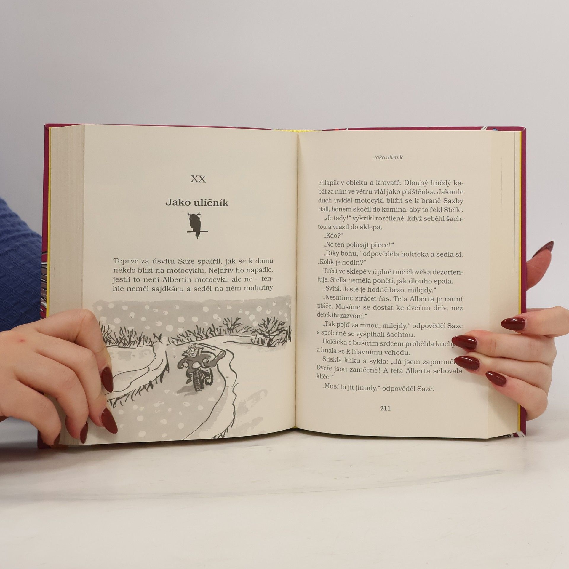 David Walliams Příšerná teta