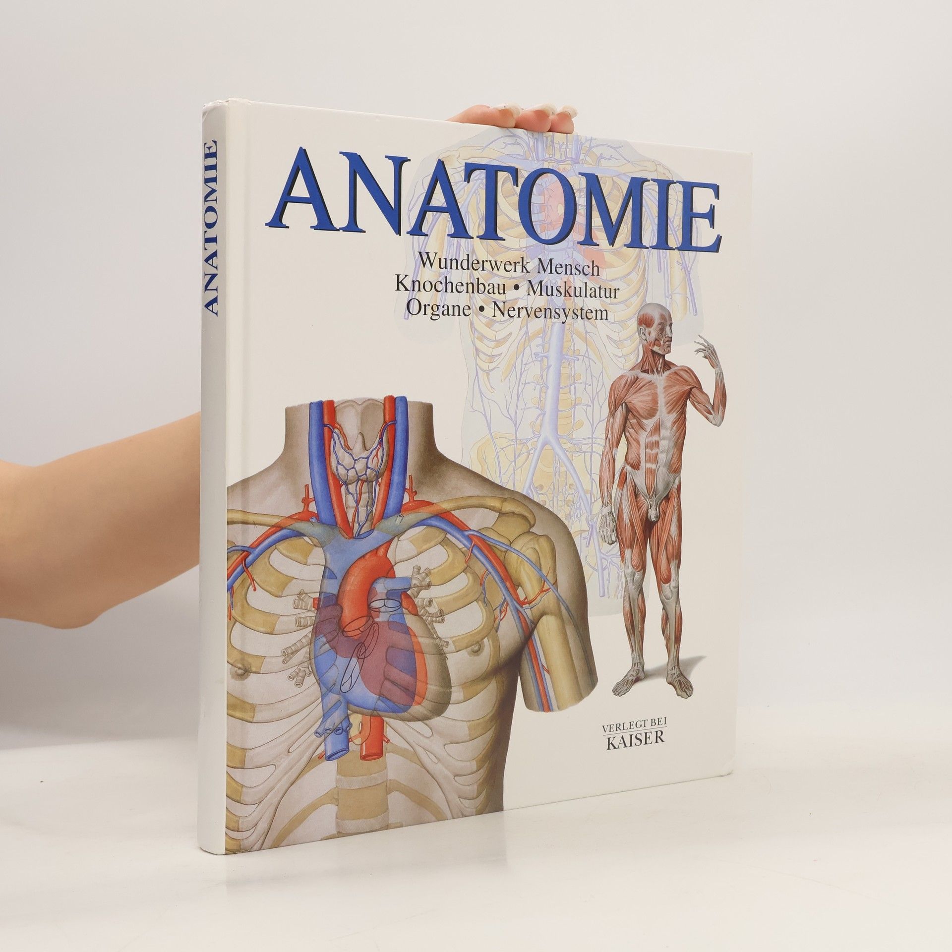 Carmen Schöninger Anatomie