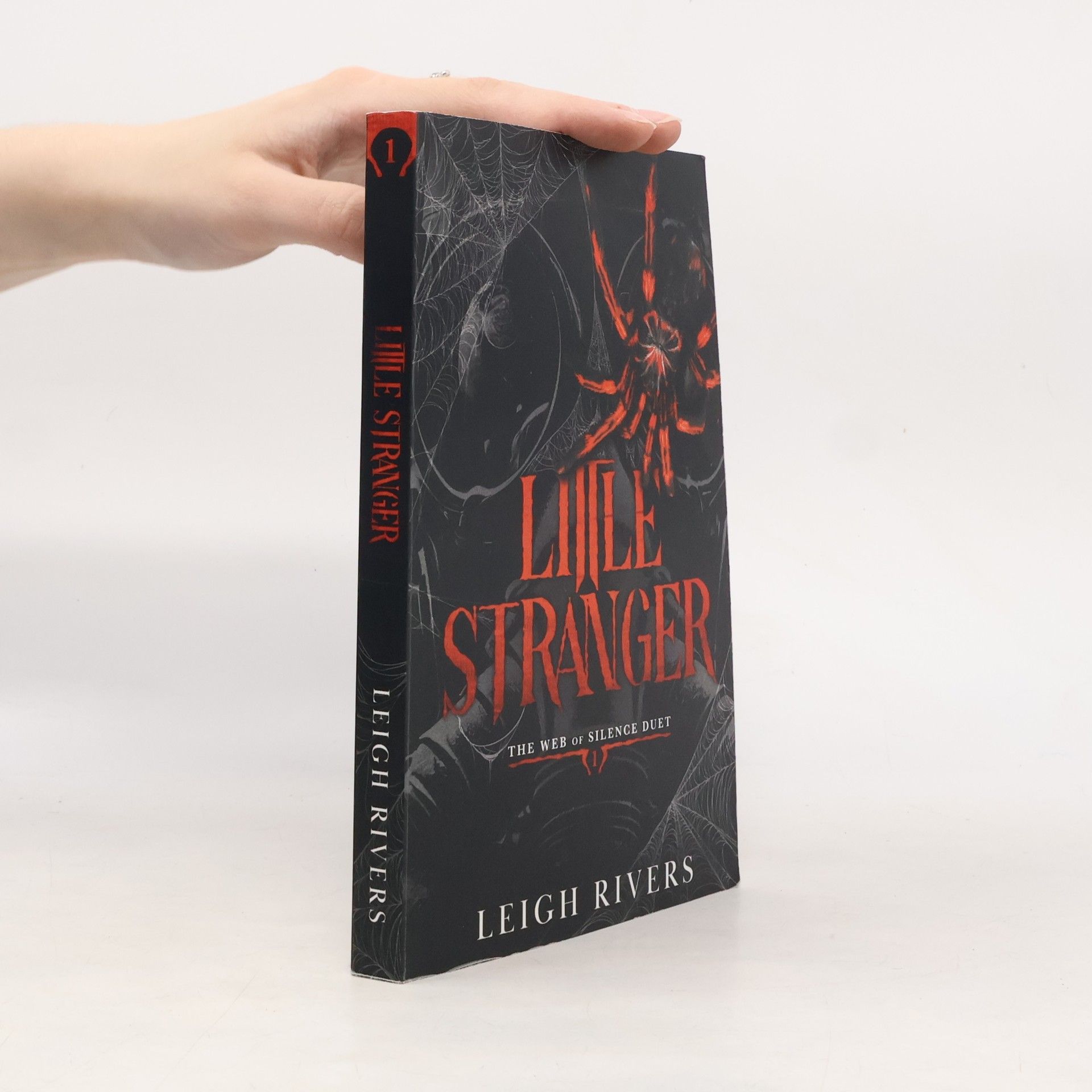 Leigh Rivers Little Stranger