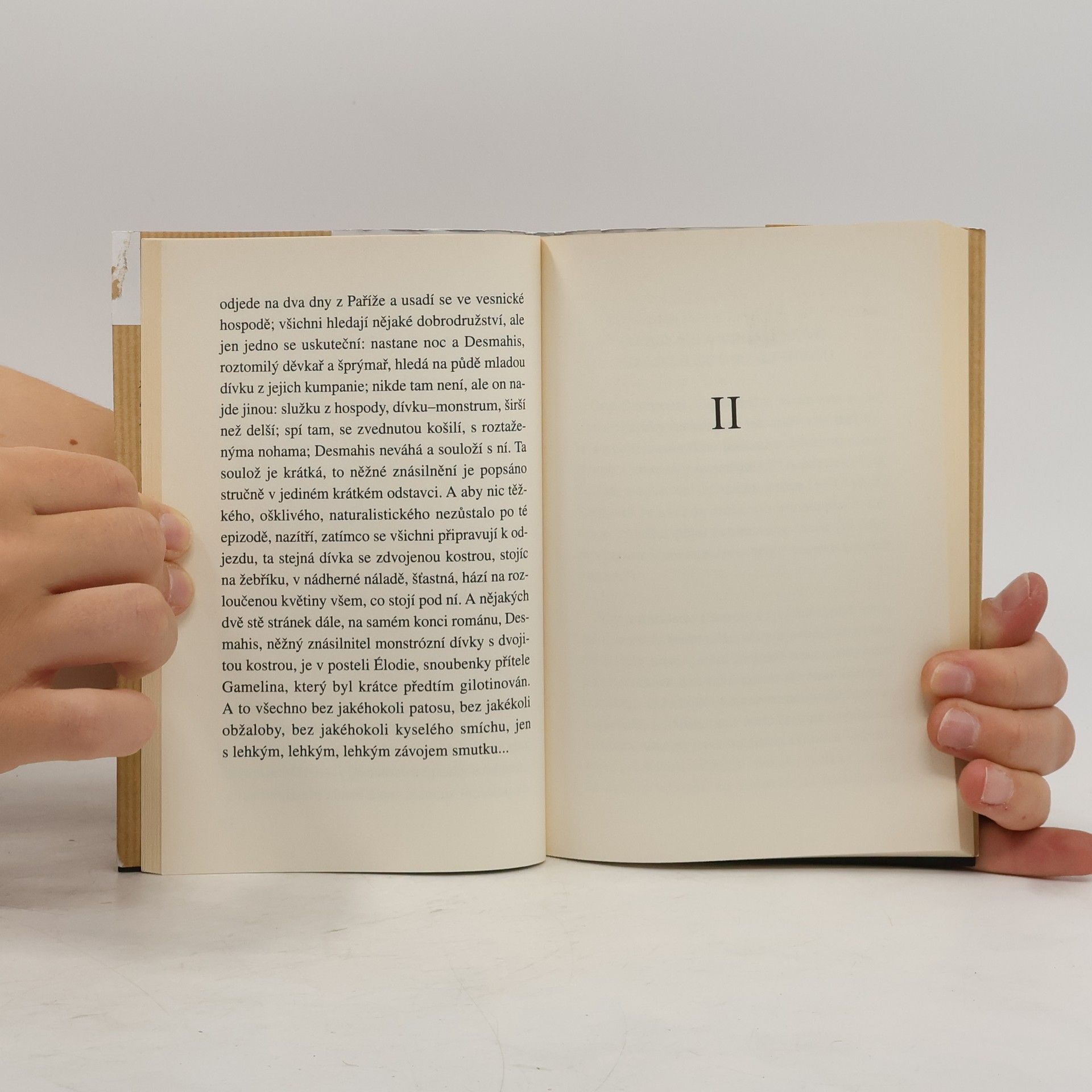 Milan Kundera Zahradou těch, které mám rád