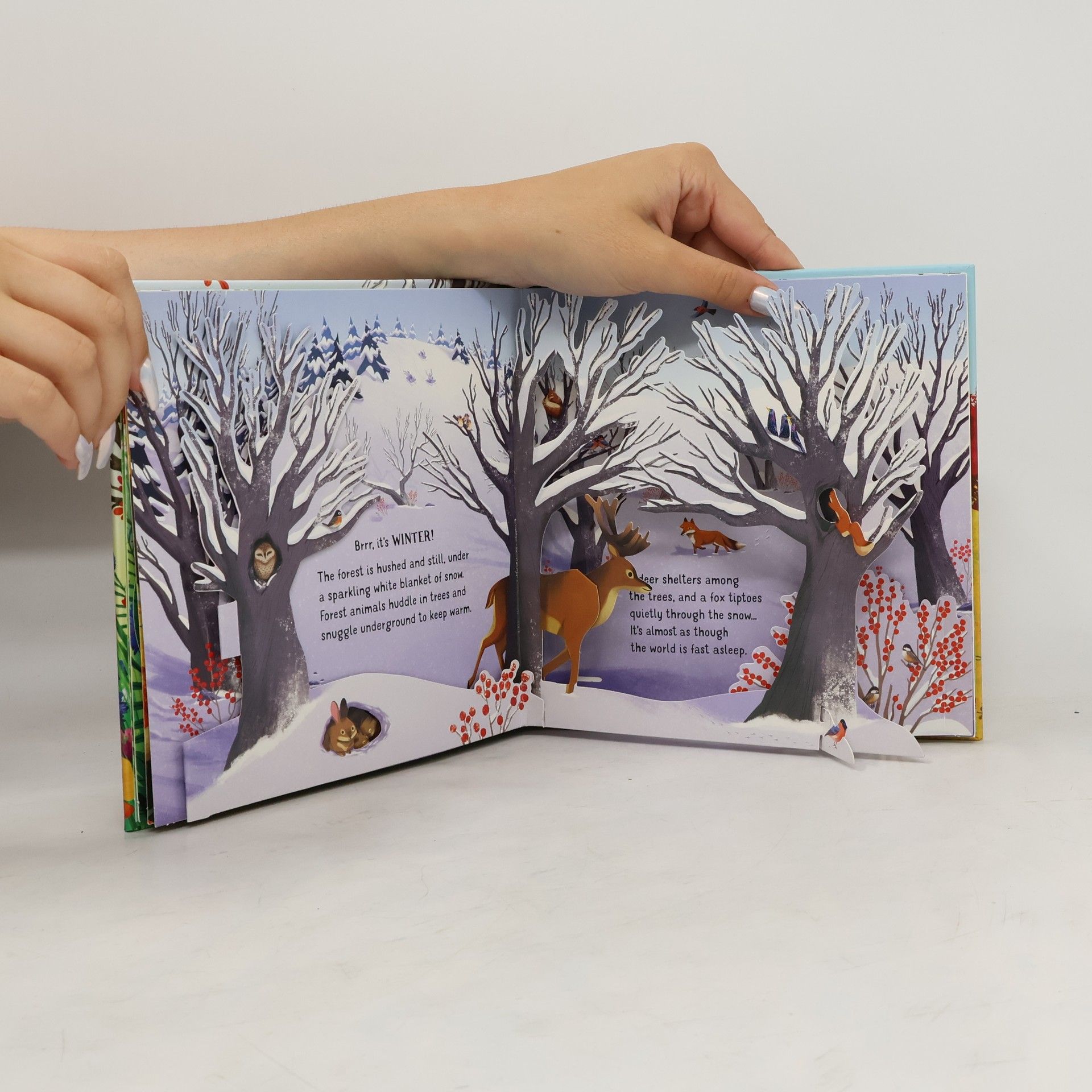 Anna Milbourne Pop-up Seasons